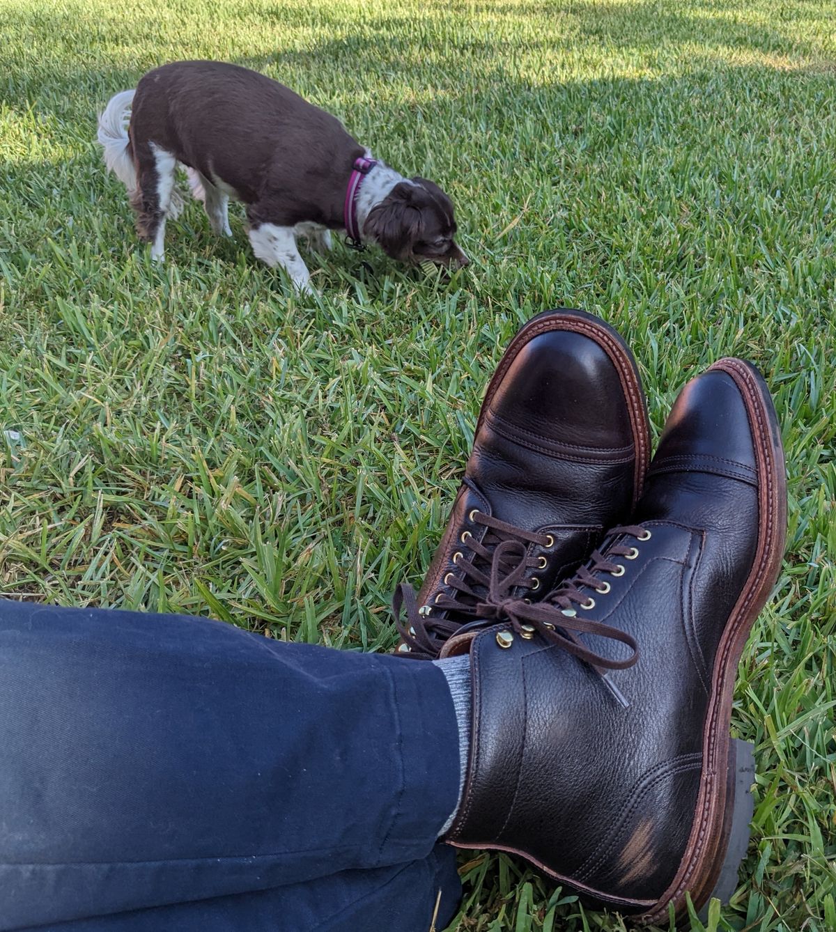 Photo by gonzalezebra on May 5, 2022 of the Alden in Horween Arabica Lux Calfskin.