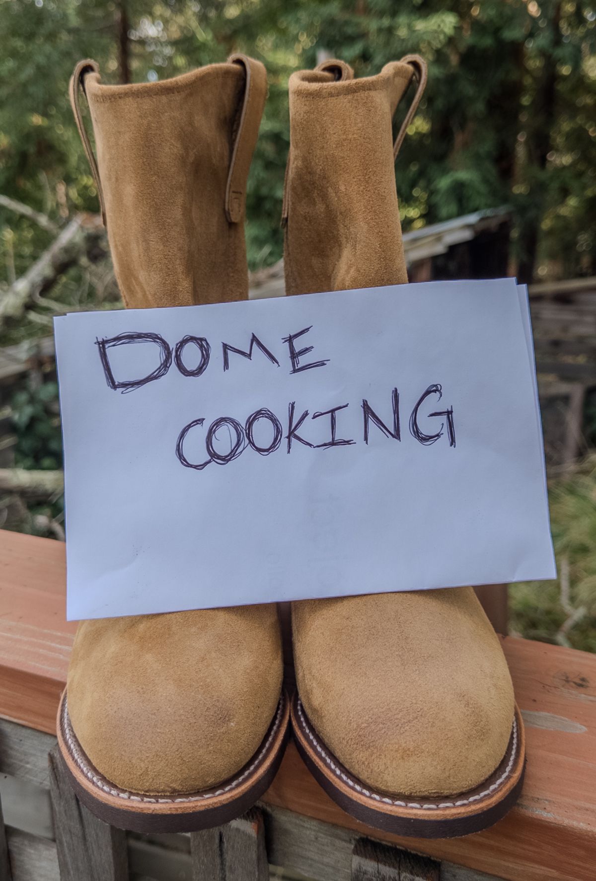 Photo by amaru_and_crow on November 4, 2025 of the Red Wing Pecos in S.B. Foot Hawthorne Muleskinner.