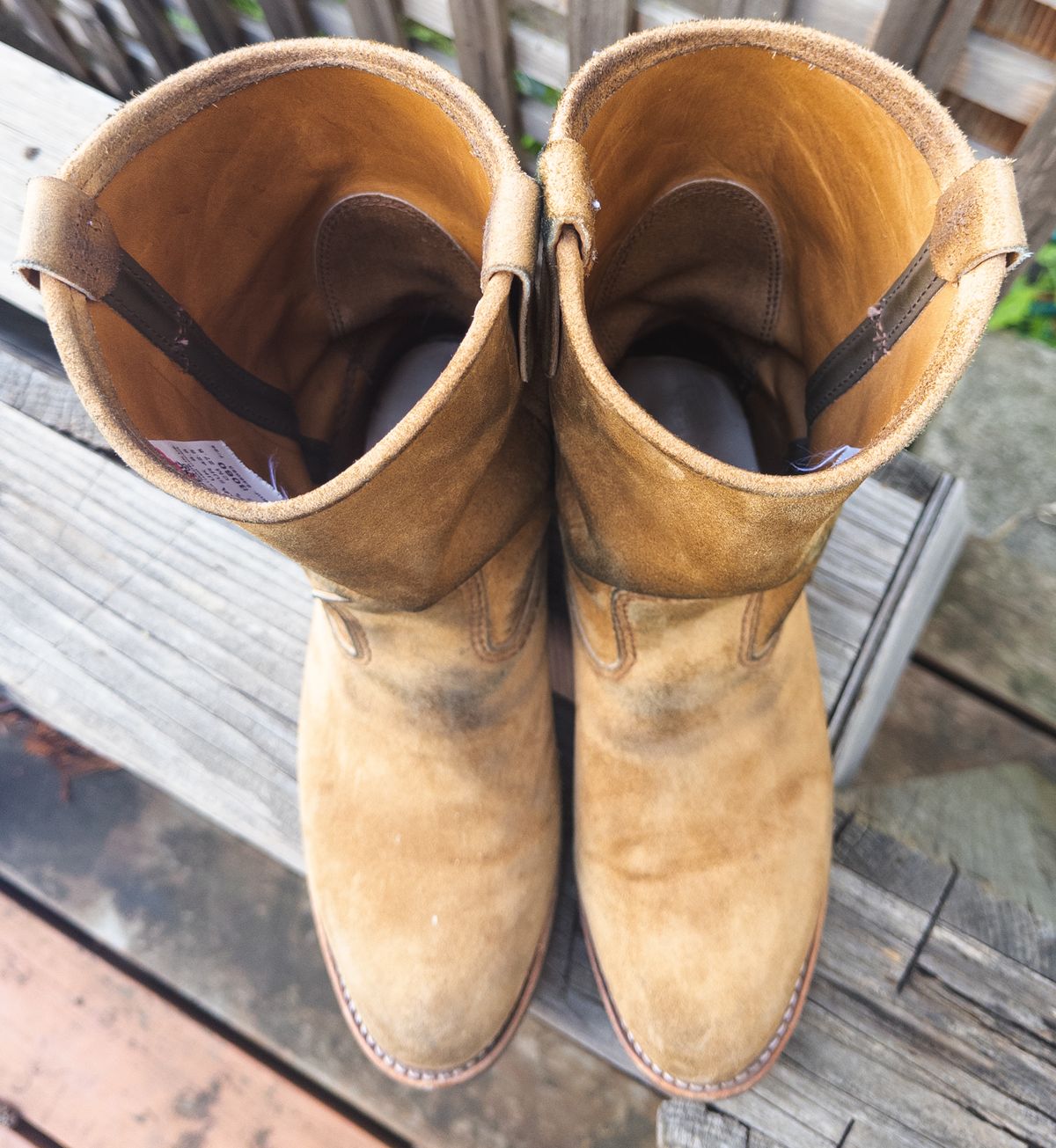 Photo by amaru_and_crow on December 1, 2025 of the Red Wing Pecos in S.B. Foot Hawthorne Muleskinner.