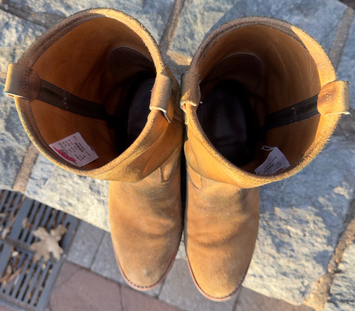 Photo by amaru_and_crow on January 2, 2026 of the Red Wing Pecos in S.B. Foot Hawthorne Muleskinner.