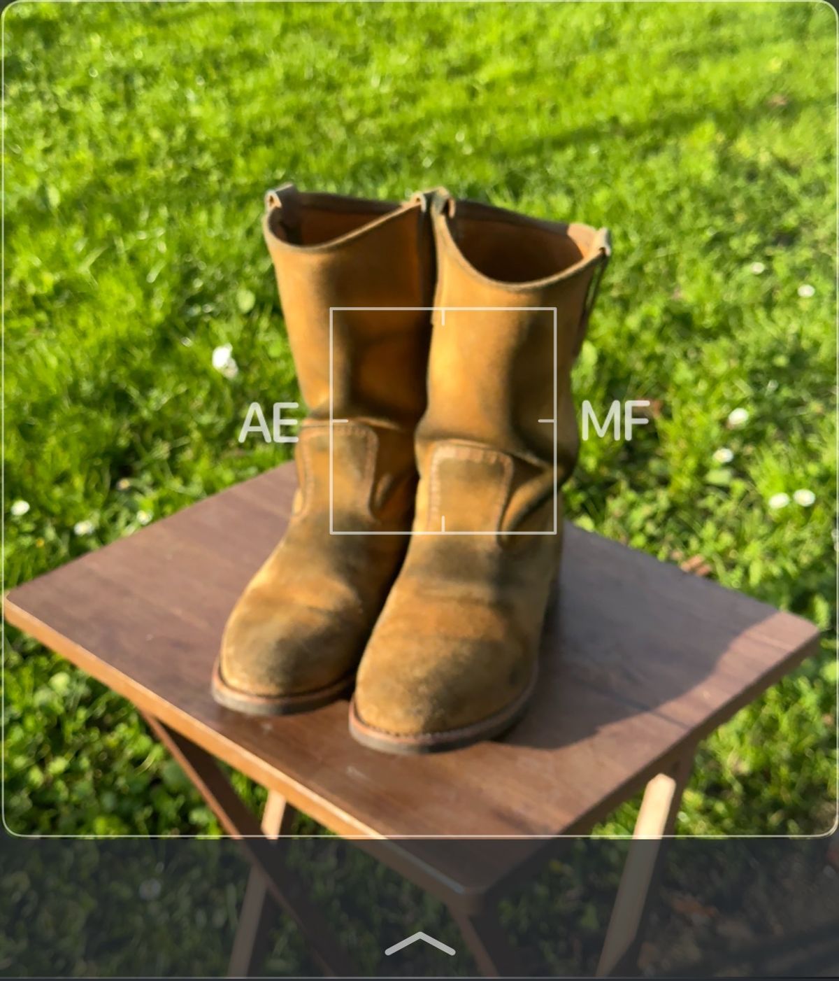 Photo by amaru_and_crow on February 5, 2026 of the Red Wing Pecos in S.B. Foot Hawthorne Muleskinner.