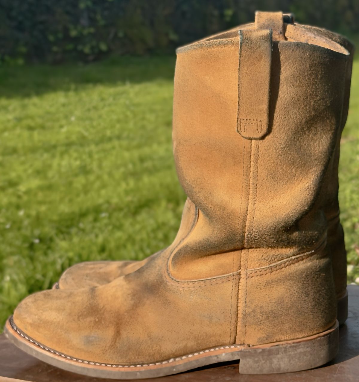 Photo by amaru_and_crow on February 5, 2026 of the Red Wing Pecos in S.B. Foot Hawthorne Muleskinner.