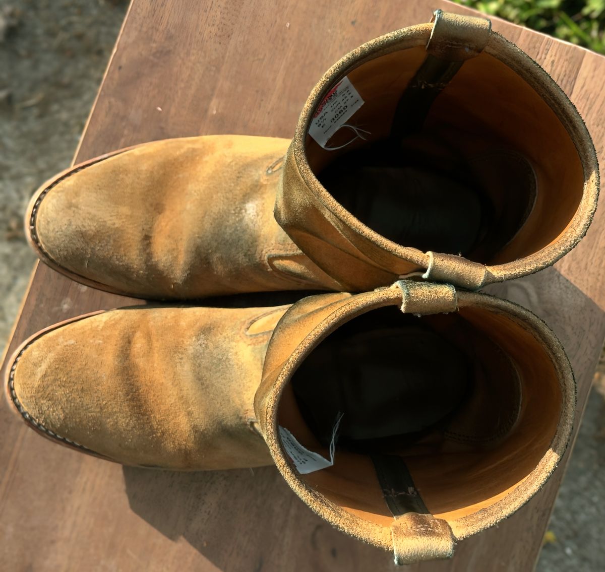 Photo by amaru_and_crow on February 5, 2026 of the Red Wing Pecos in S.B. Foot Hawthorne Muleskinner.