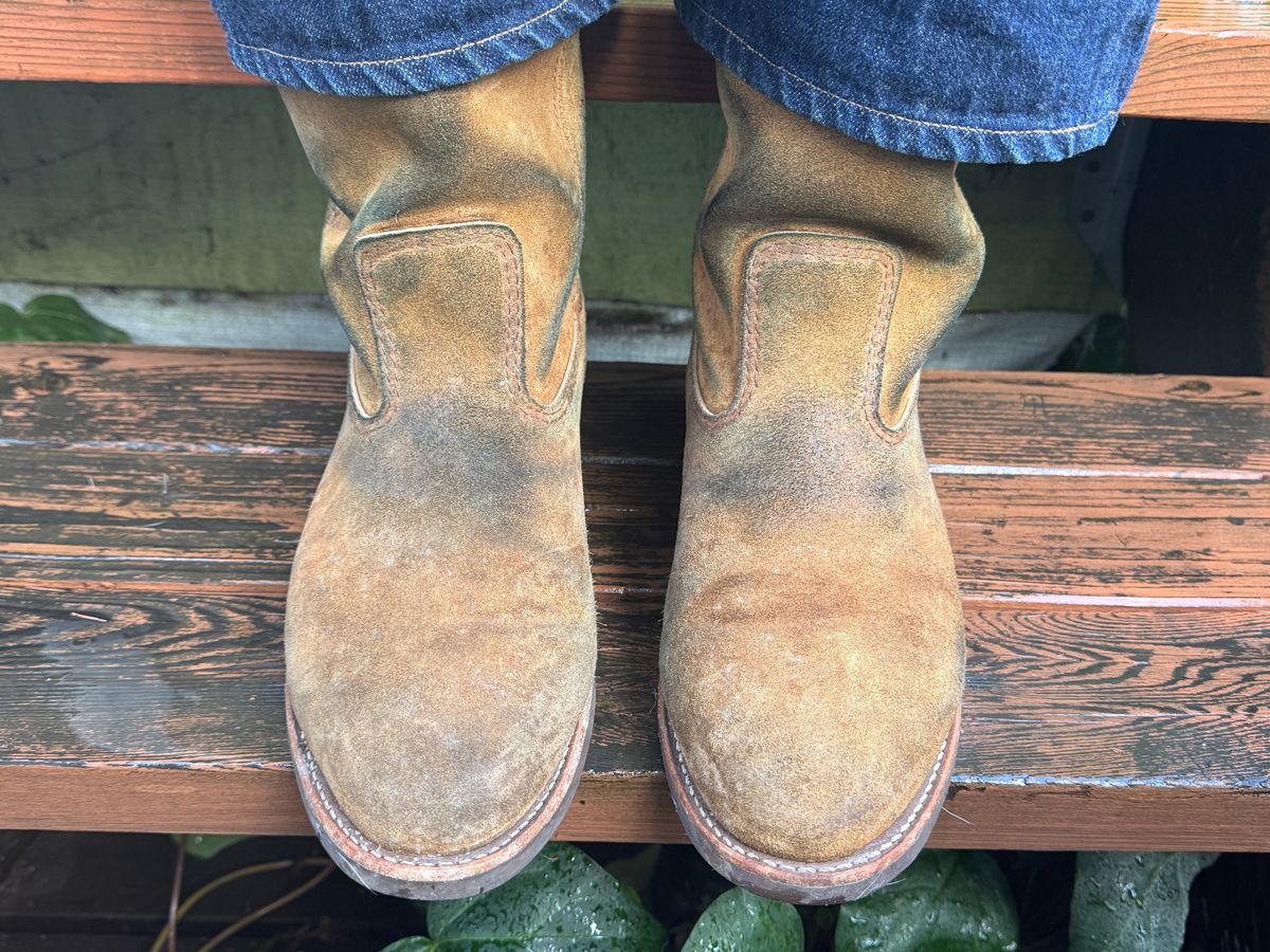 Photo by amaru_and_crow on February 19, 2026 of the Red Wing Pecos in S.B. Foot Hawthorne Muleskinner.