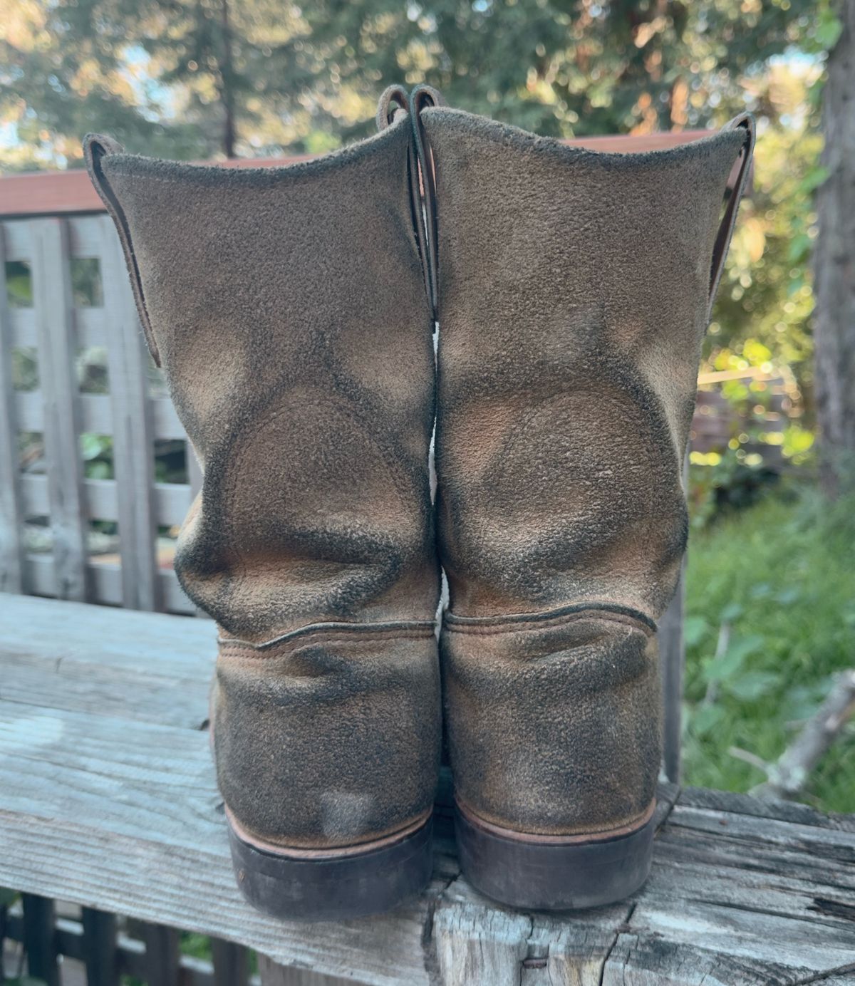 Photo by amaru_and_crow on March 3, 2026 of the Red Wing Pecos in S.B. Foot Hawthorne Muleskinner.