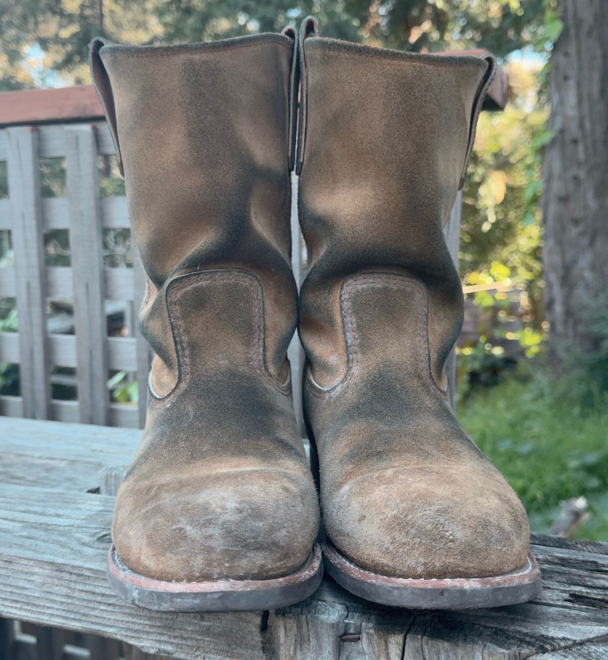 Photo by amaru_and_crow on March 3, 2026 of the Red Wing Pecos in S.B. Foot Hawthorne Muleskinner.