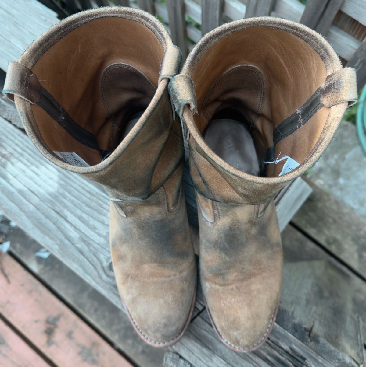 Photo by amaru_and_crow on March 3, 2026 of the Red Wing Pecos in S.B. Foot Hawthorne Muleskinner.