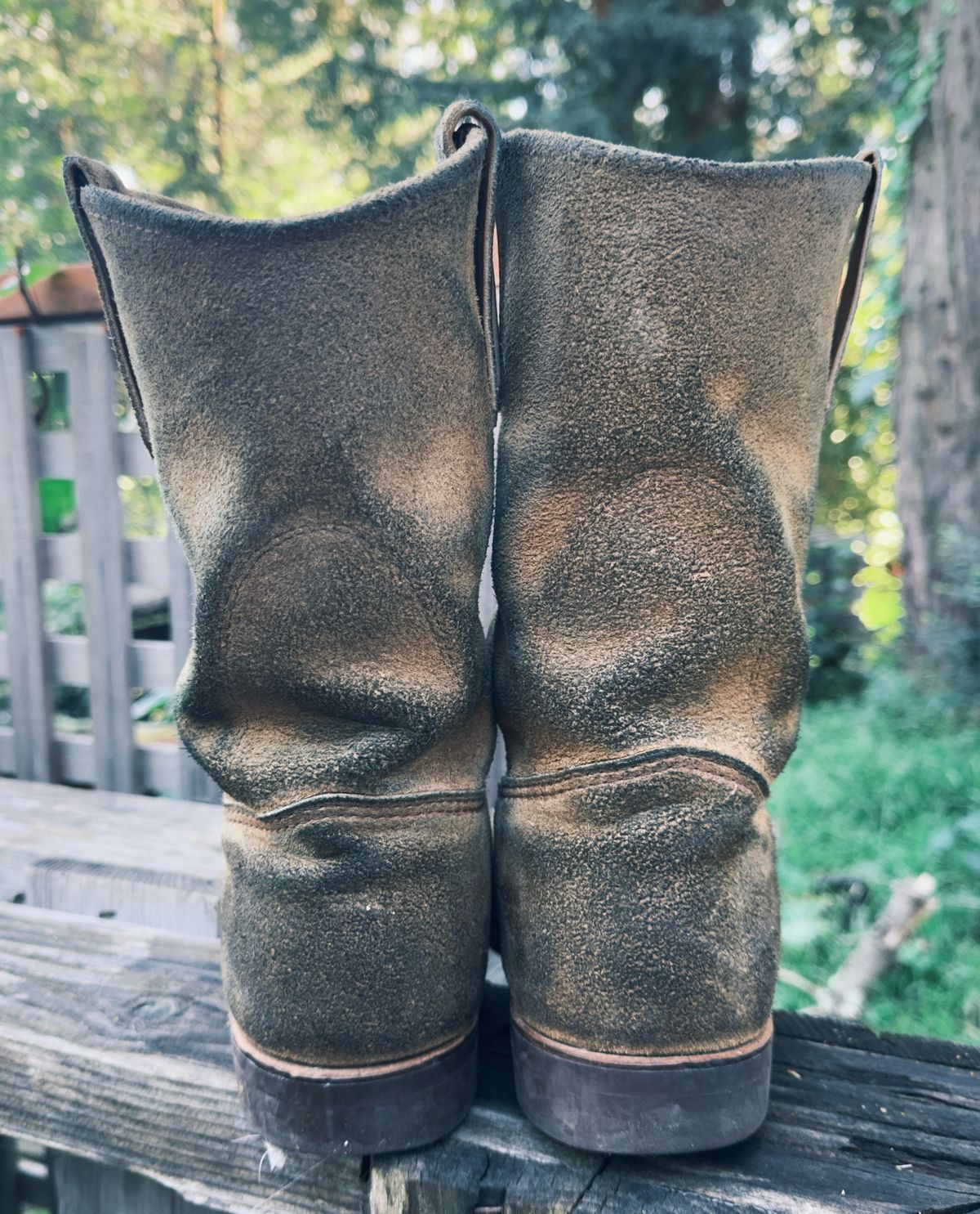 Photo by amaru_and_crow on April 2, 2026 of the Red Wing Pecos in S.B. Foot Hawthorne Muleskinner.