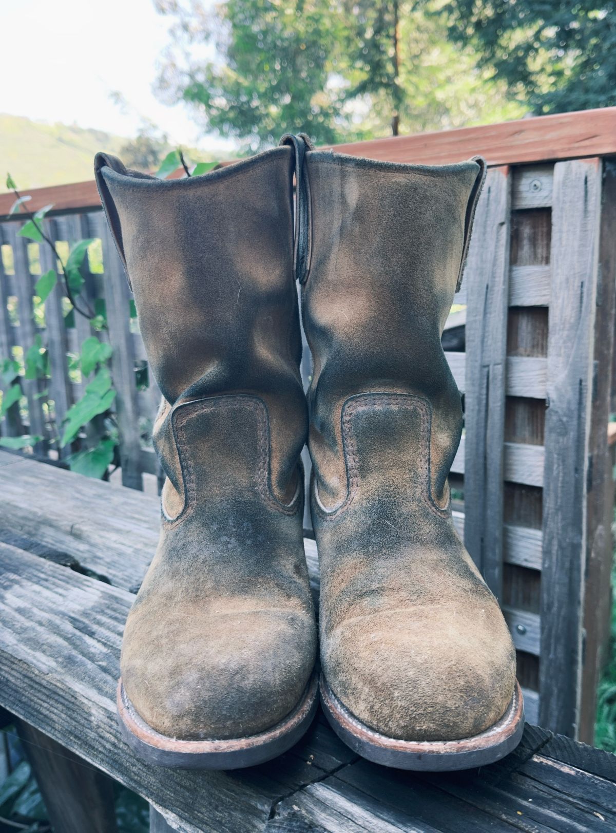 Photo by amaru_and_crow on April 2, 2026 of the Red Wing Pecos in S.B. Foot Hawthorne Muleskinner.