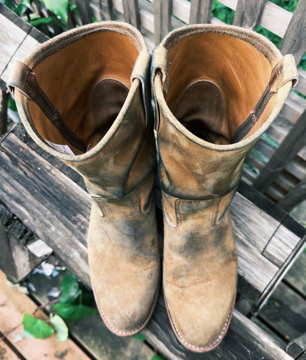 Photo by amaru_and_crow on April 2, 2026 of the Red Wing Pecos in S.B. Foot Hawthorne Muleskinner.