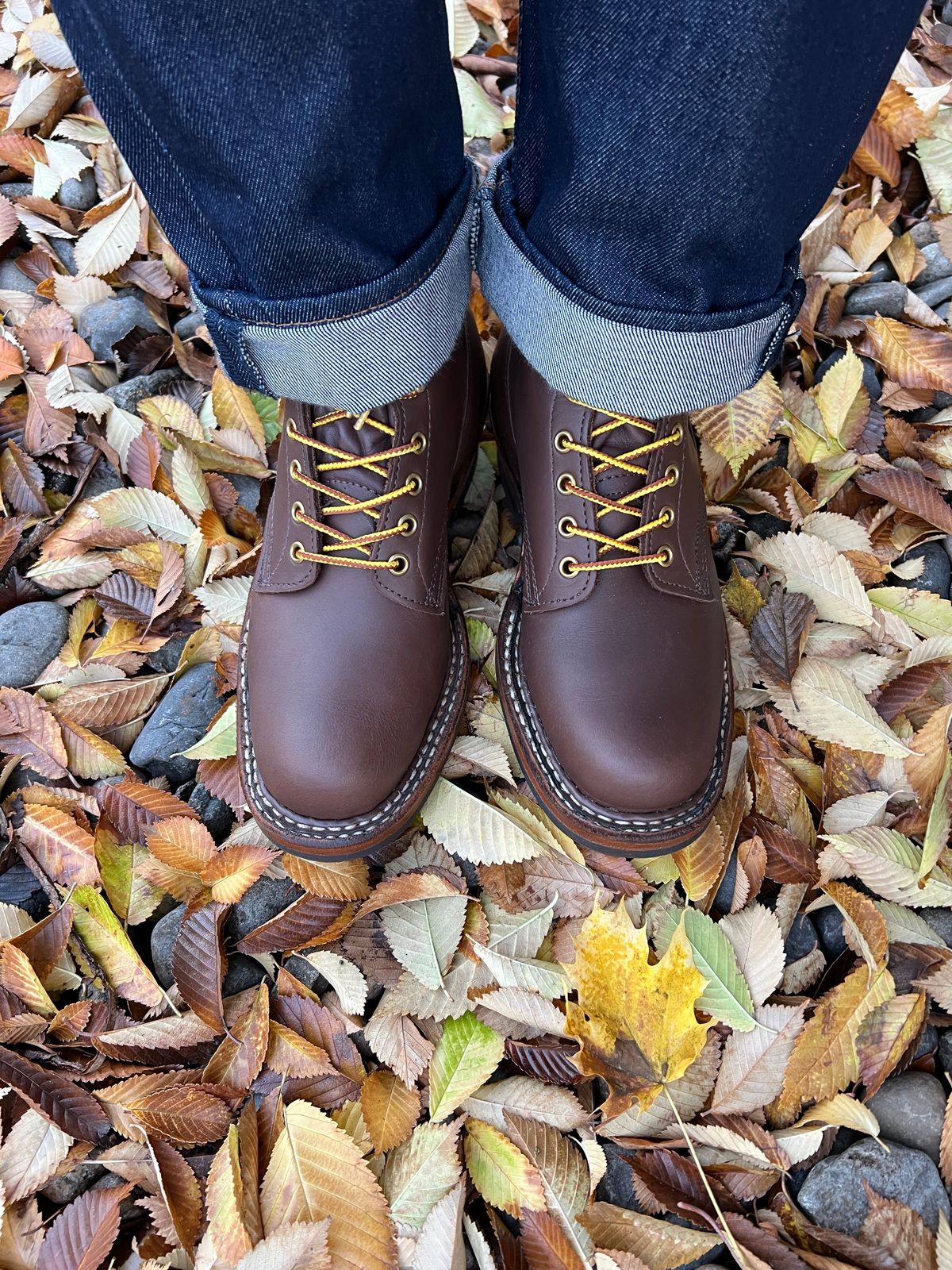 Photo by CJJ on October 12, 2023 of the White's Farmer/Rancher in Seidel Brown Oil Tan.