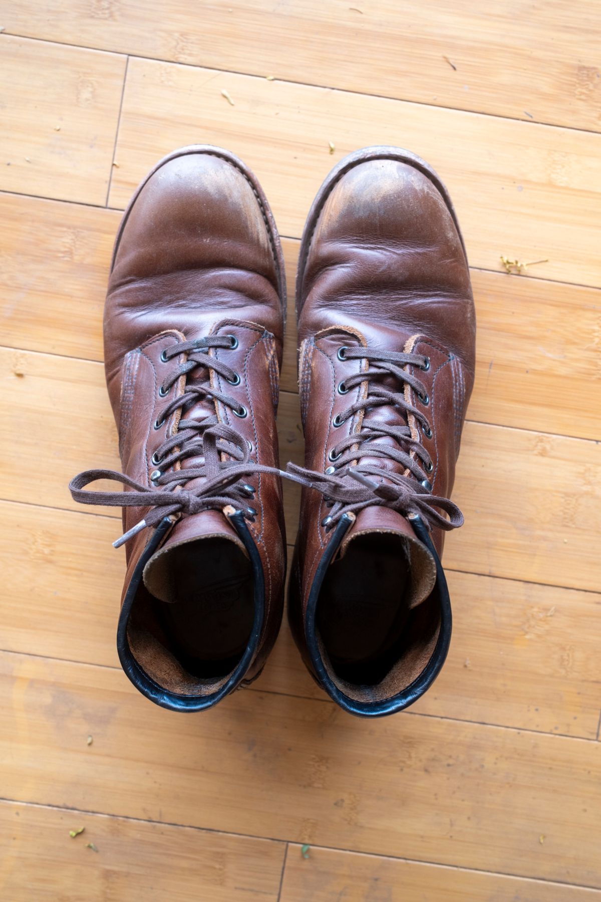 Photo by SBE2002 on February 5, 2026 of the Red Wing Beckman Flatbox in Cigar Excalibur.