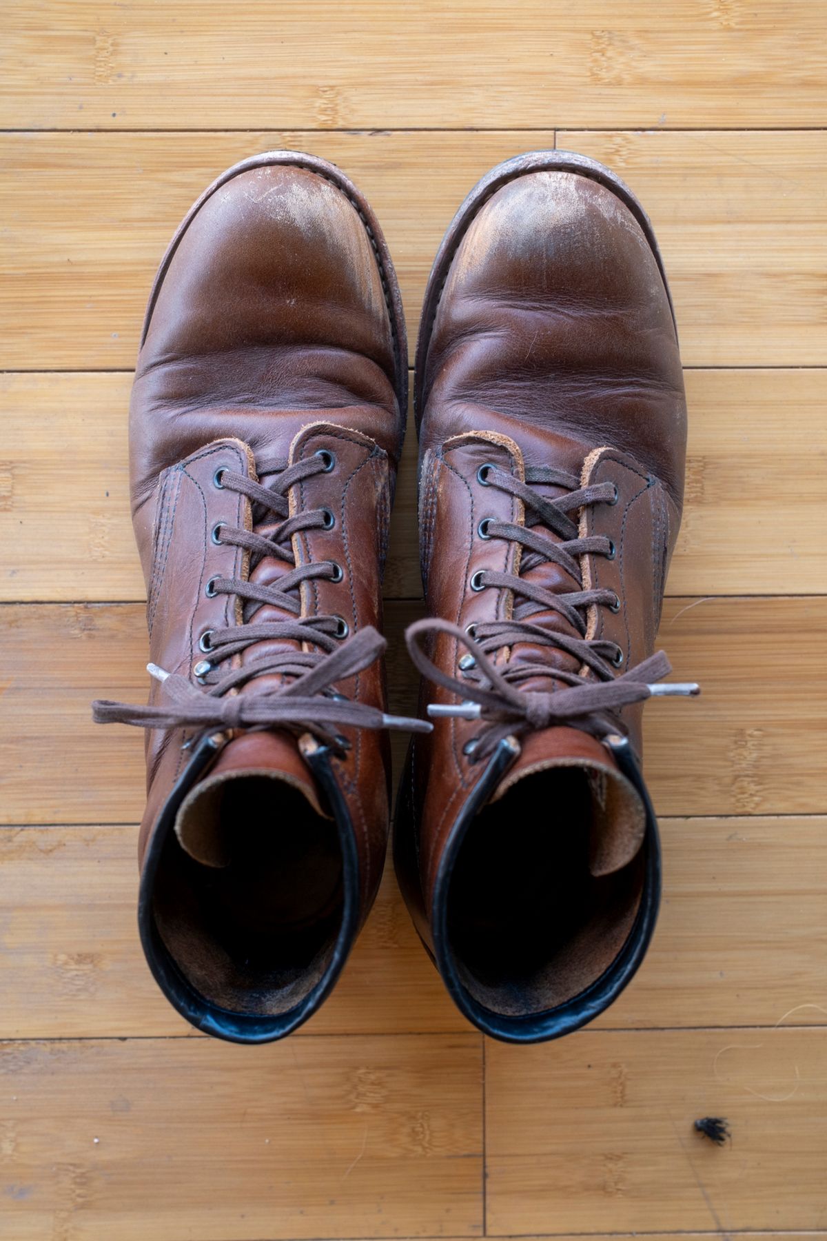 Photo by SBE2002 on March 5, 2026 of the Red Wing Beckman Flatbox in Cigar Excalibur.