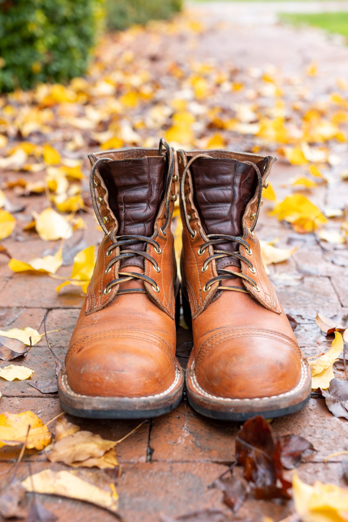 Photo by SBE2002 on December 4, 2022 of the Nicks Americana in Horween Natural Dublin.