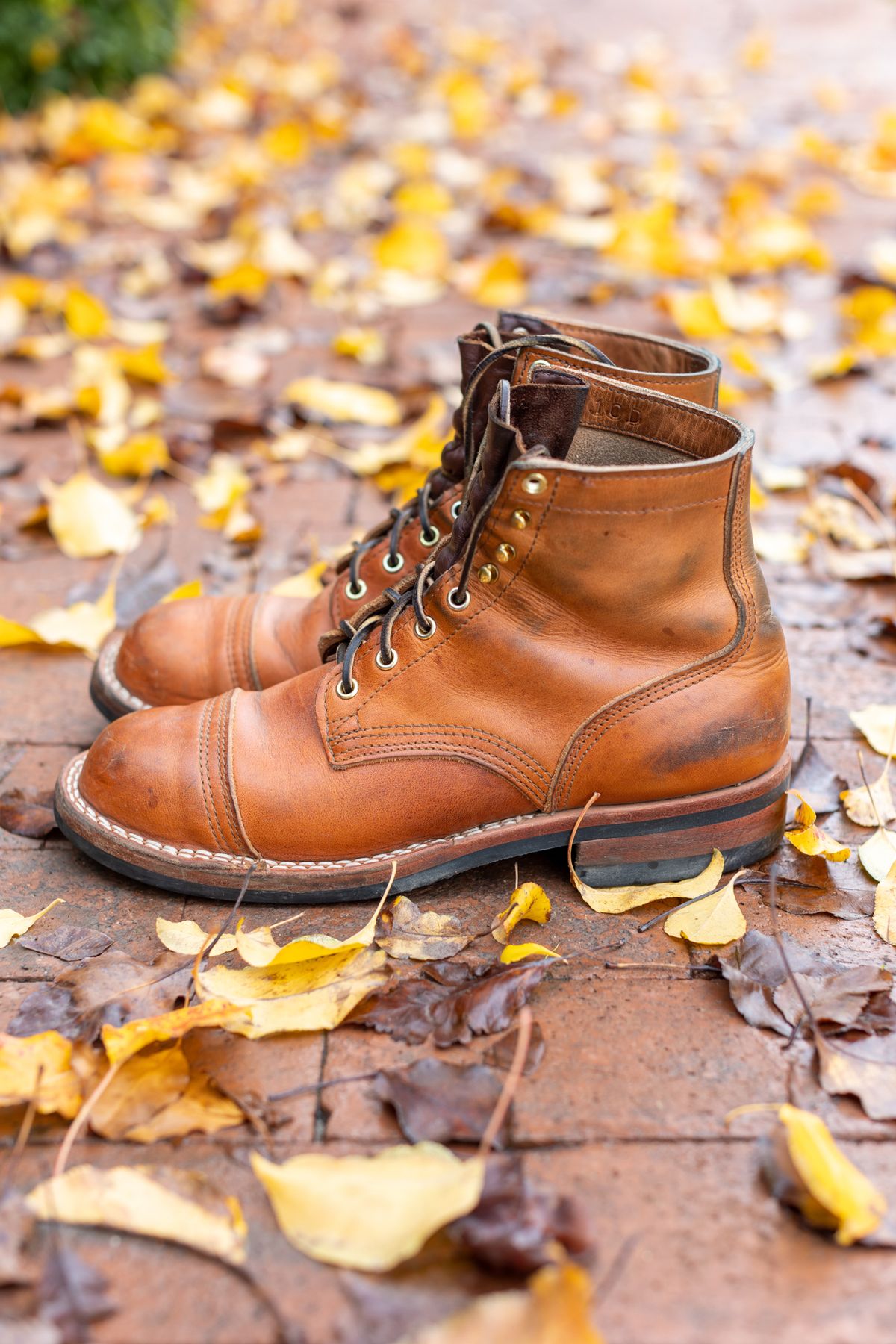 Photo by SBE2002 on December 4, 2022 of the Nicks Americana in Horween Natural Dublin.