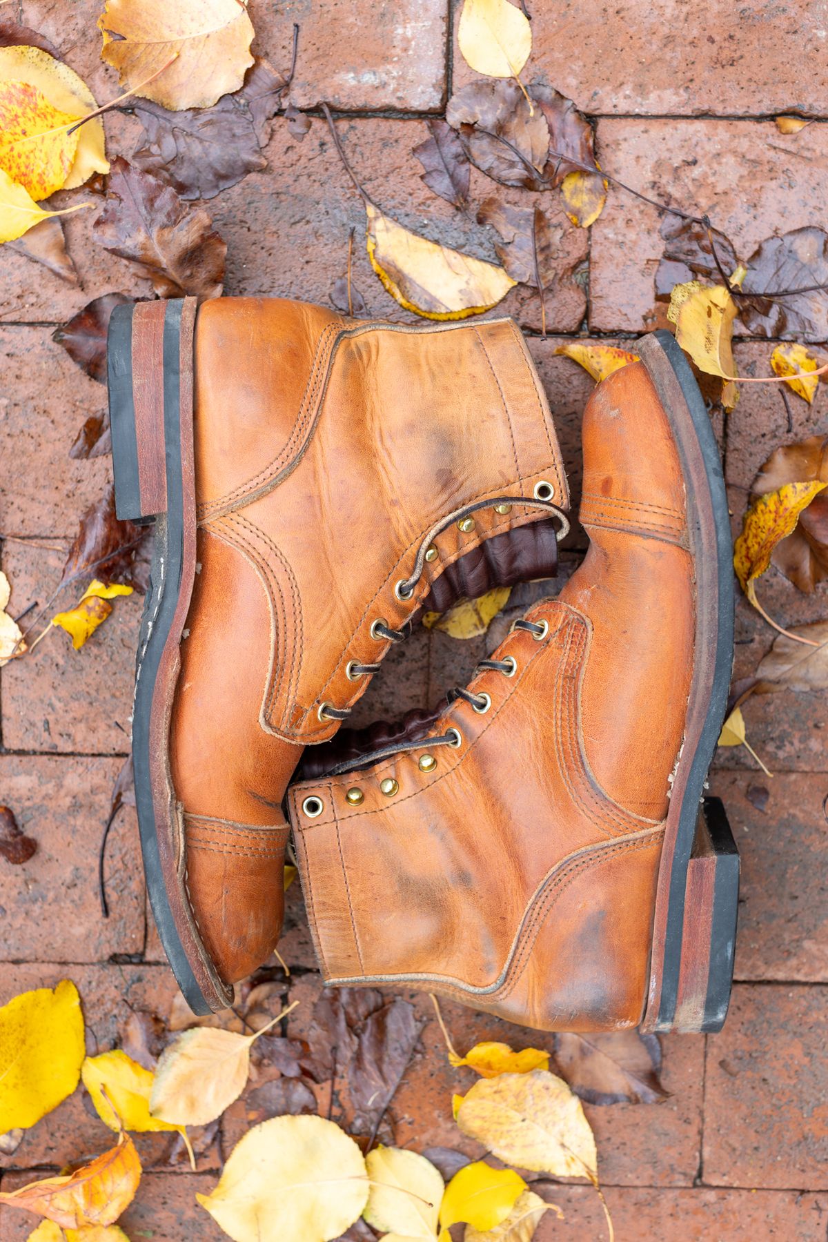 Photo by SBE2002 on December 4, 2022 of the Nicks Americana in Horween Natural Dublin.