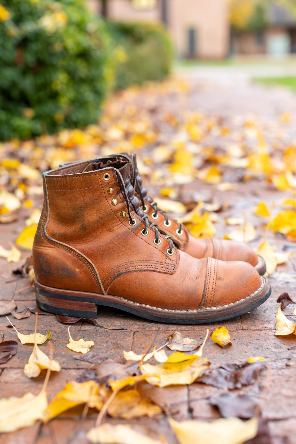 Photo by SBE2002 on December 4, 2022 of the Nicks Americana in Horween Natural Dublin.