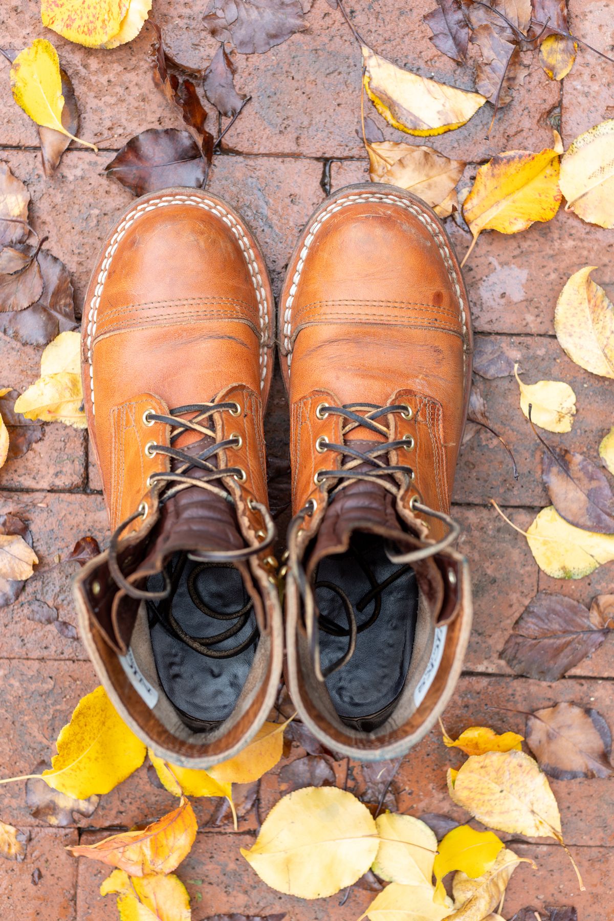 Photo by SBE2002 on December 4, 2022 of the Nicks Americana in Horween Natural Dublin.