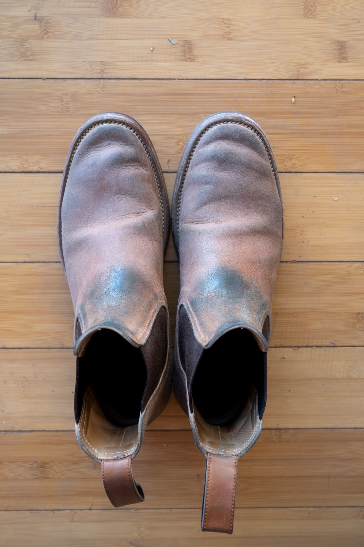 Photo by SBE2002 on February 5, 2025 of the Briselblack The Seventh Chelsea Boot in Maryam Toscanello Waxed Reverse Horsebutt.