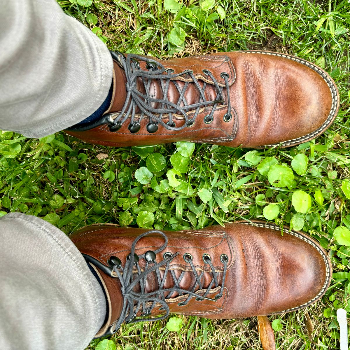 Photo by brianscotty on October 30, 2024 of the Red Wing Beckman in S.B. Foot Cigar Featherstone.