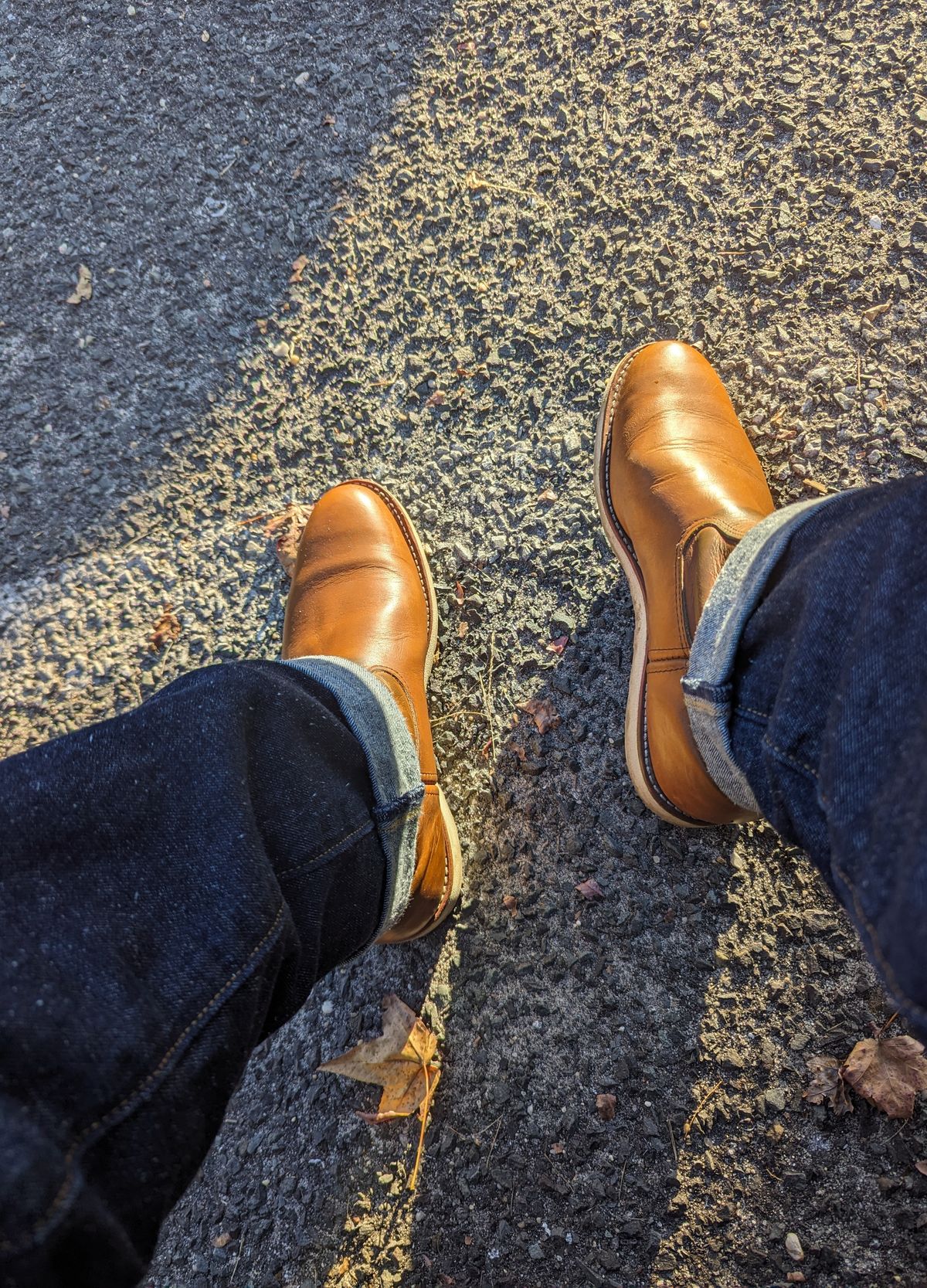 Photo by OnMyFeet on November 2, 2023 of the Red Wing Pecos in Unknown Leather.