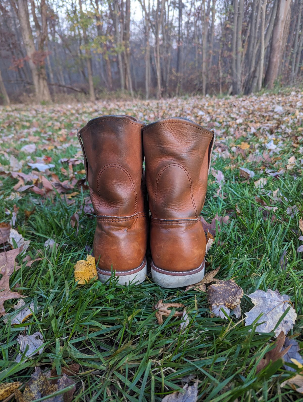 Photo by OnMyFeet on November 5, 2023 of the Red Wing Pecos in Unknown Leather.