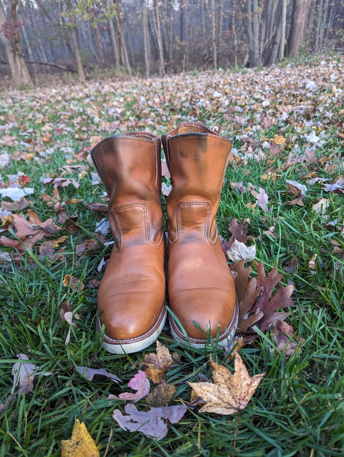 Photo by OnMyFeet on November 5, 2023 of the Red Wing Pecos in Unknown Leather.