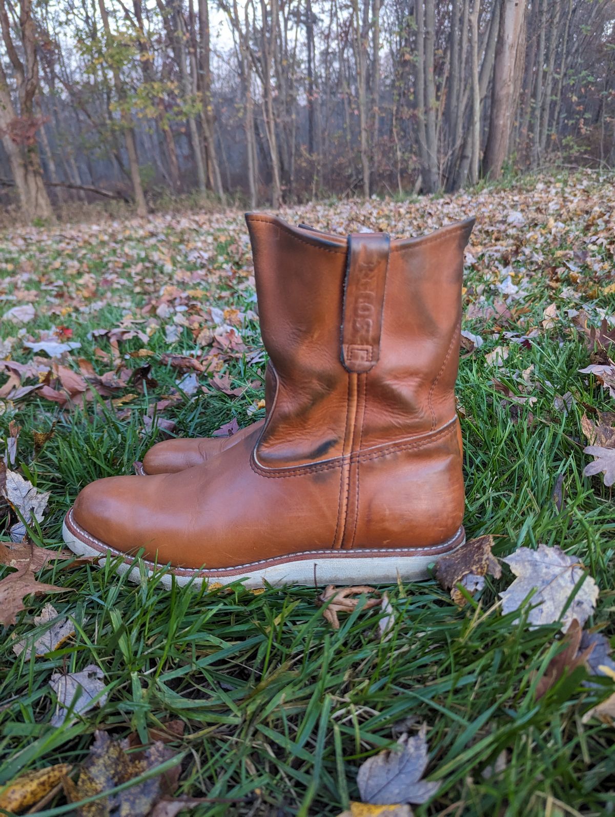 Photo by OnMyFeet on November 5, 2023 of the Red Wing Pecos in Unknown Leather.