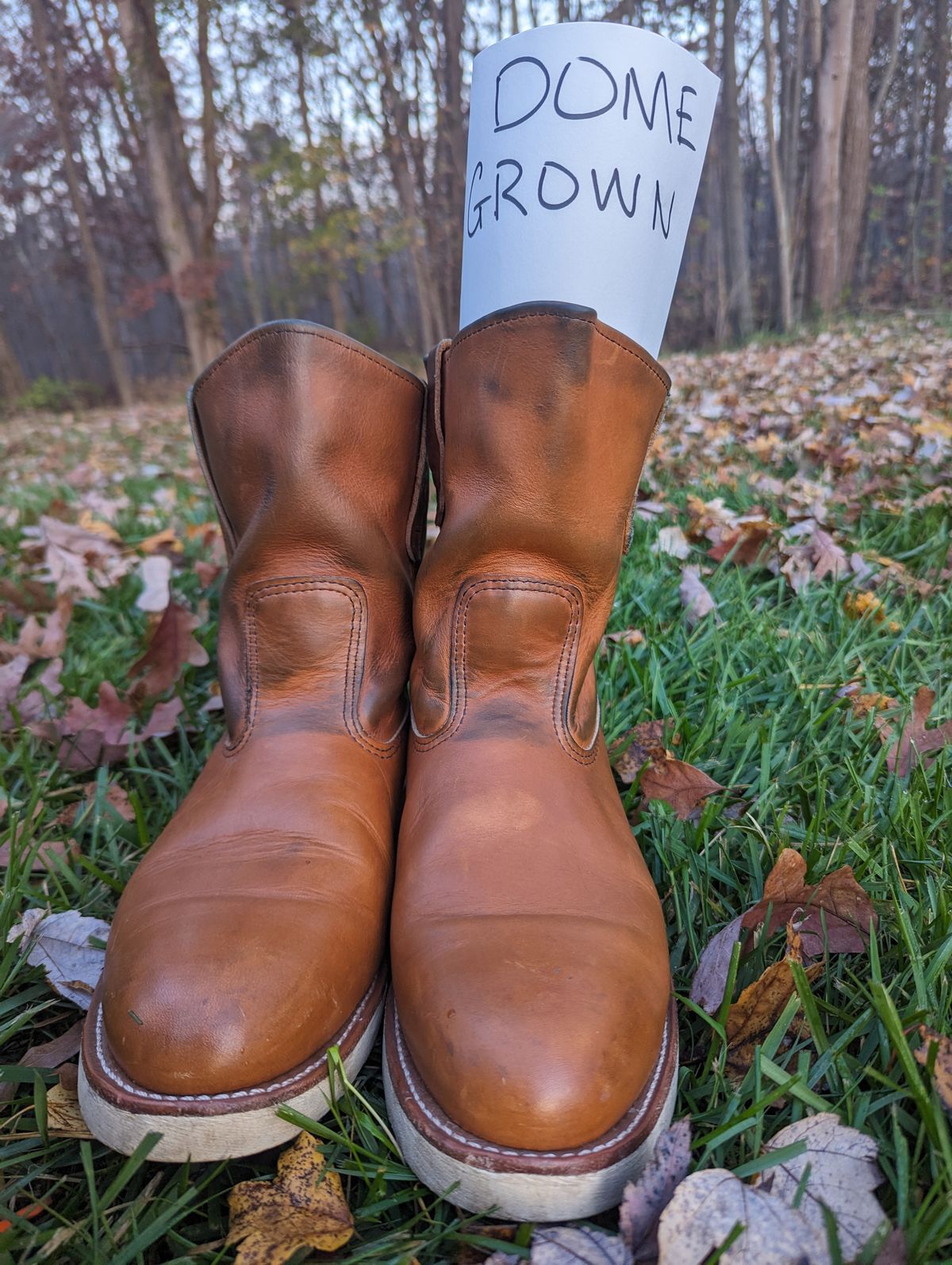 Photo by OnMyFeet on November 5, 2023 of the Red Wing Pecos in Unknown Leather.