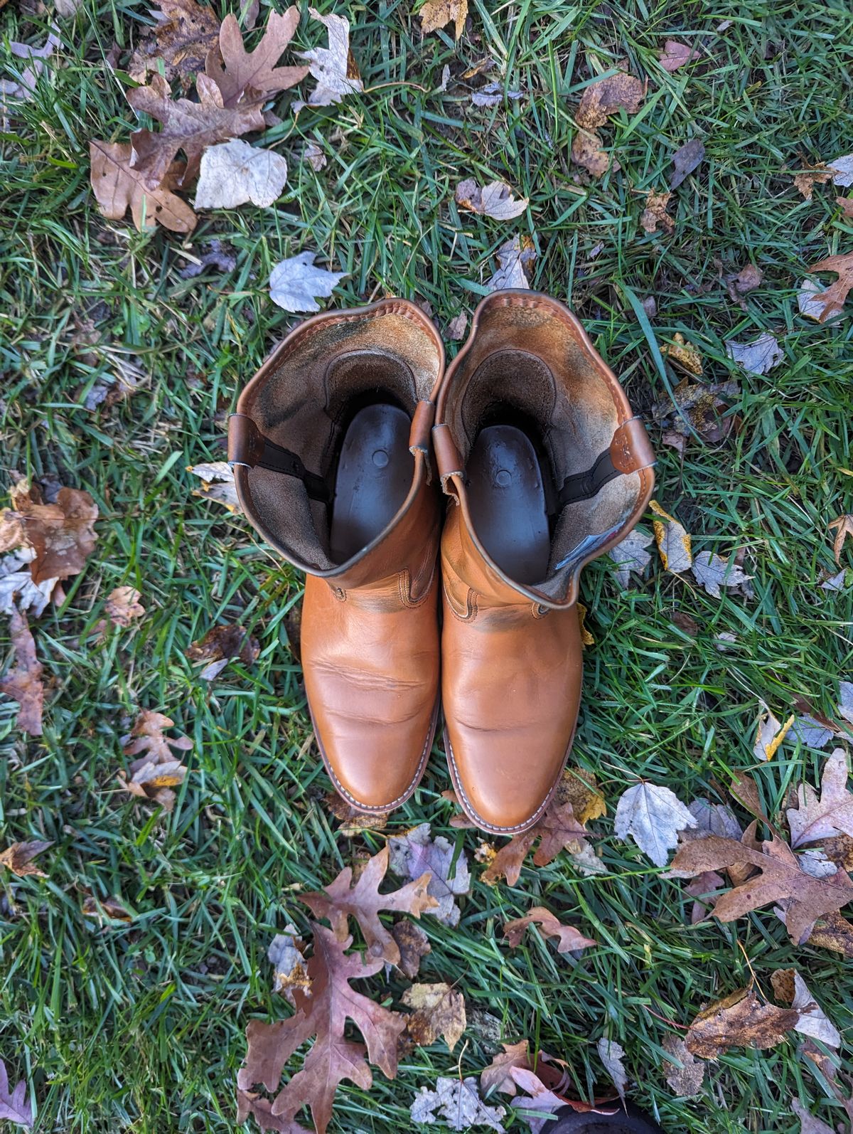 Photo by OnMyFeet on November 5, 2023 of the Red Wing Pecos in Unknown Leather.