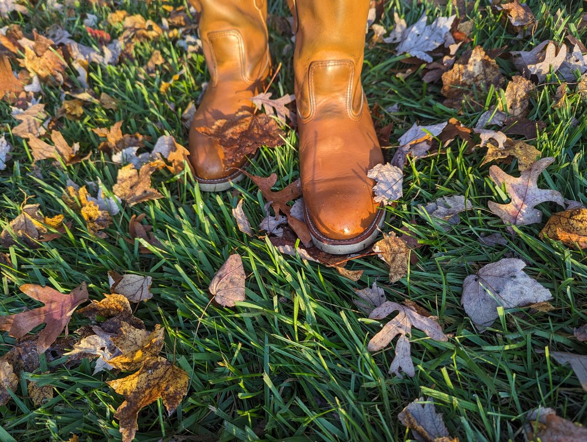 Photo by OnMyFeet on November 5, 2023 of the Red Wing Pecos in Unknown Leather.