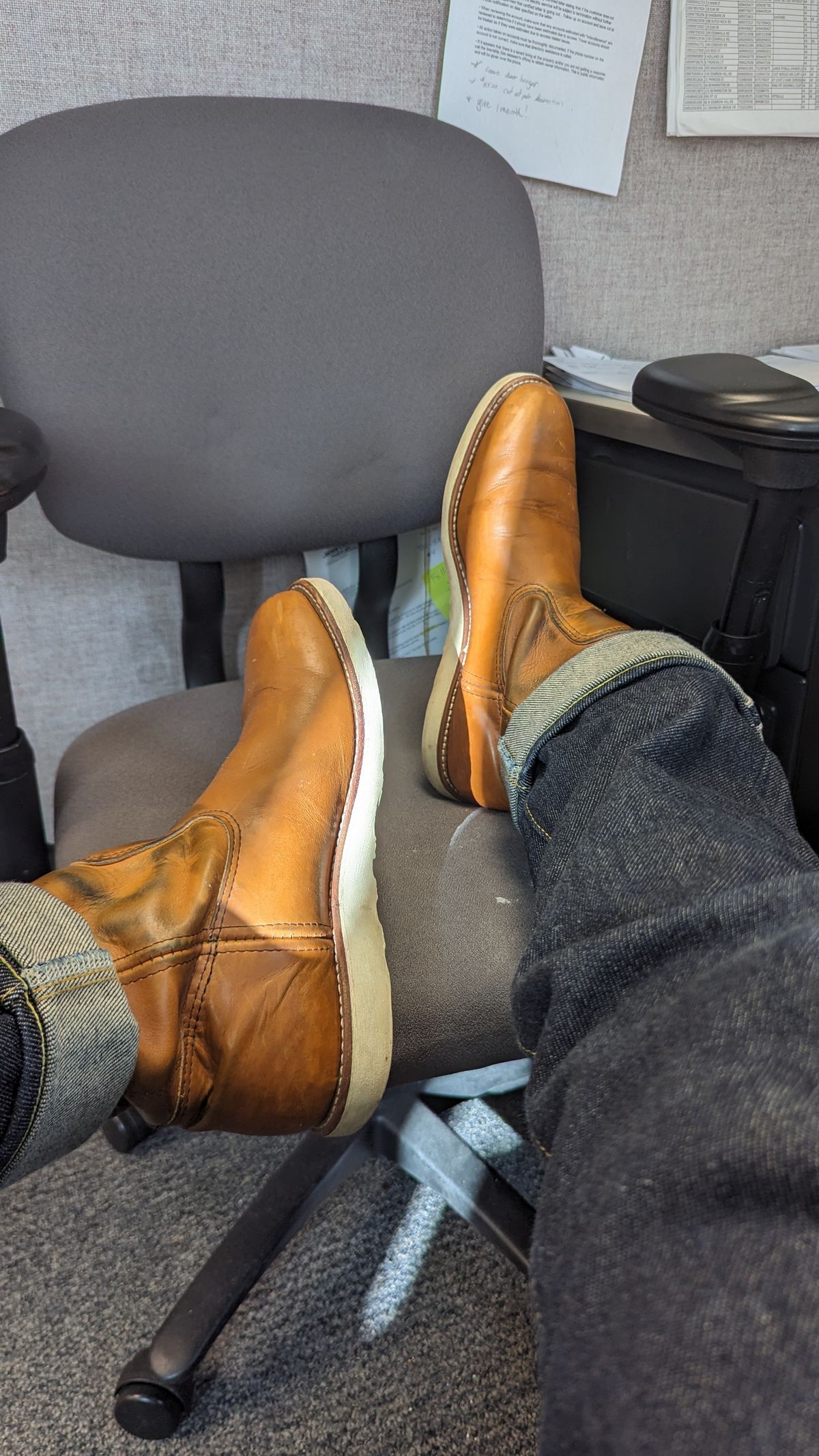 Photo by OnMyFeet on March 5, 2024 of the Red Wing Pecos in Unknown Leather.