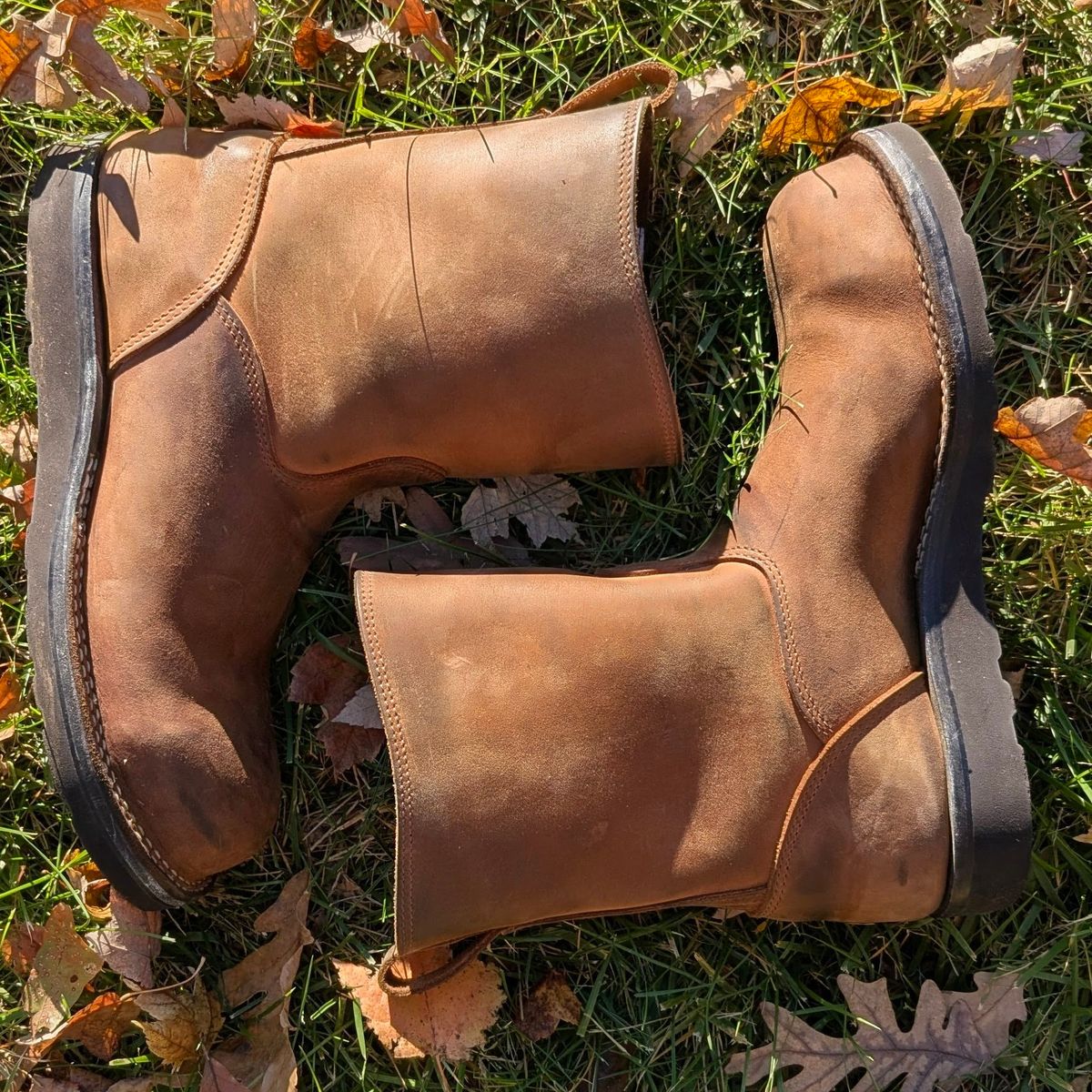 Photo by OnMyFeet on November 4, 2025 of the Nicks Wellington in Seidel WeatherShield Brown.