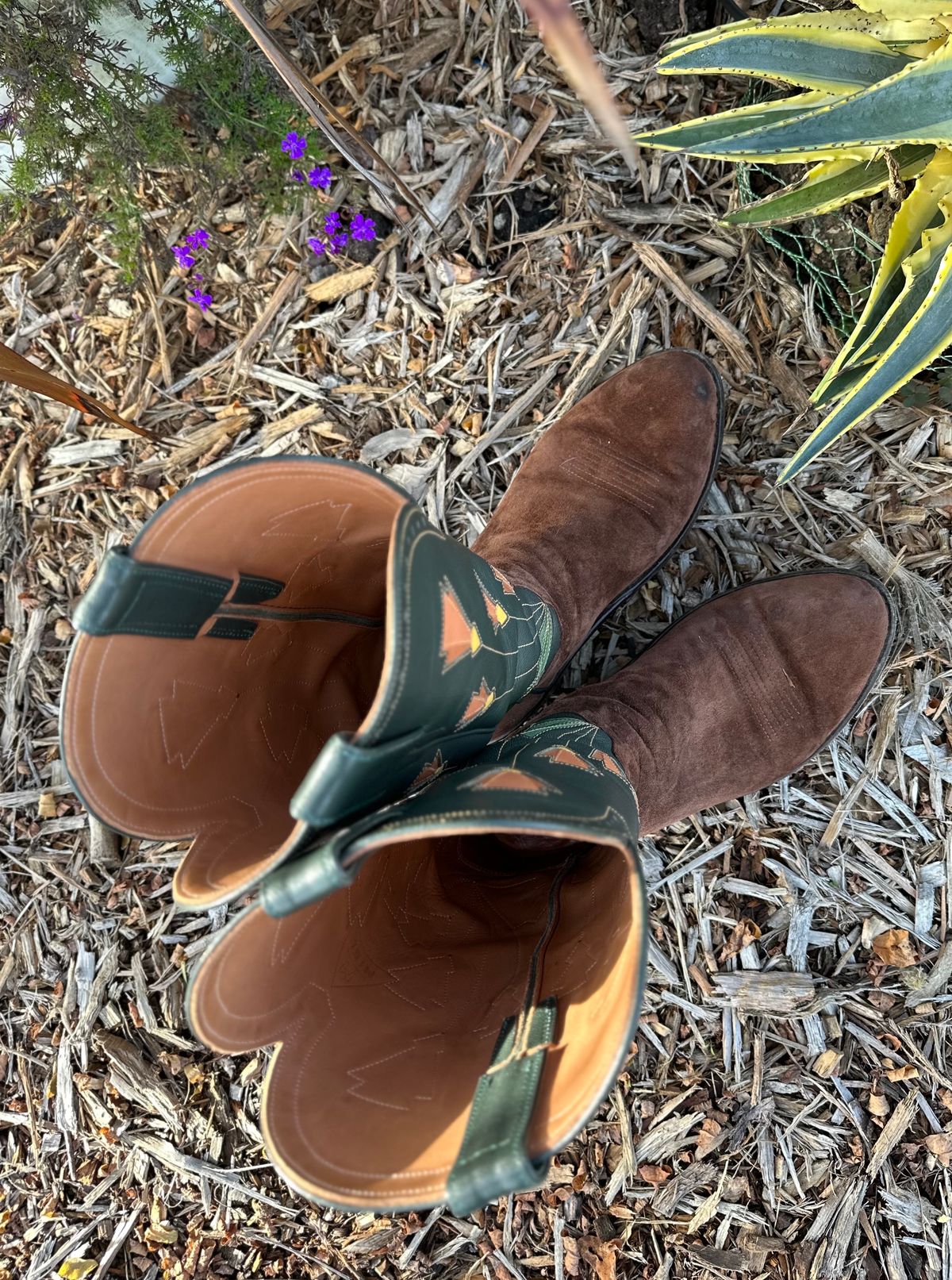 Photo by m.miel on December 5, 2023 of the Maya Miel Cowboy Boot in Pig Suede.