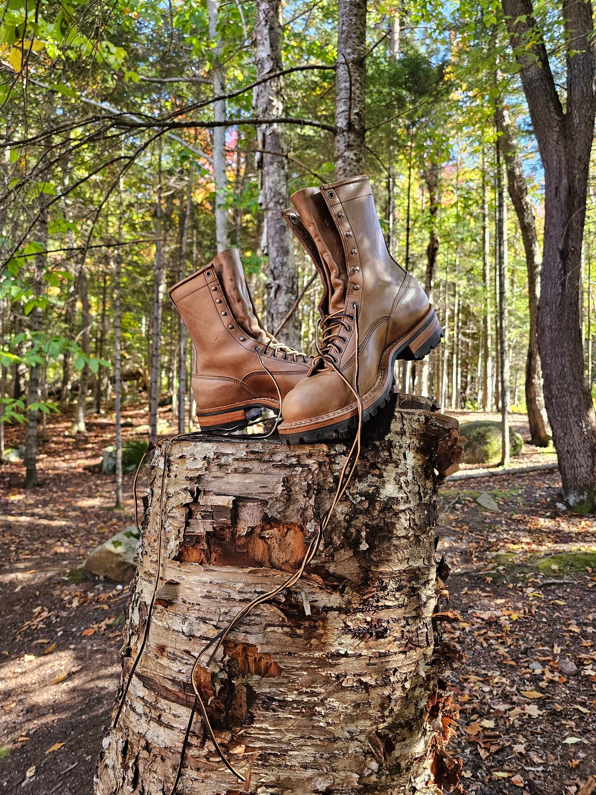 Photo by jho27 on October 1, 2023 of the White's Bounty Hunter in Horween Natural Chromexcel.