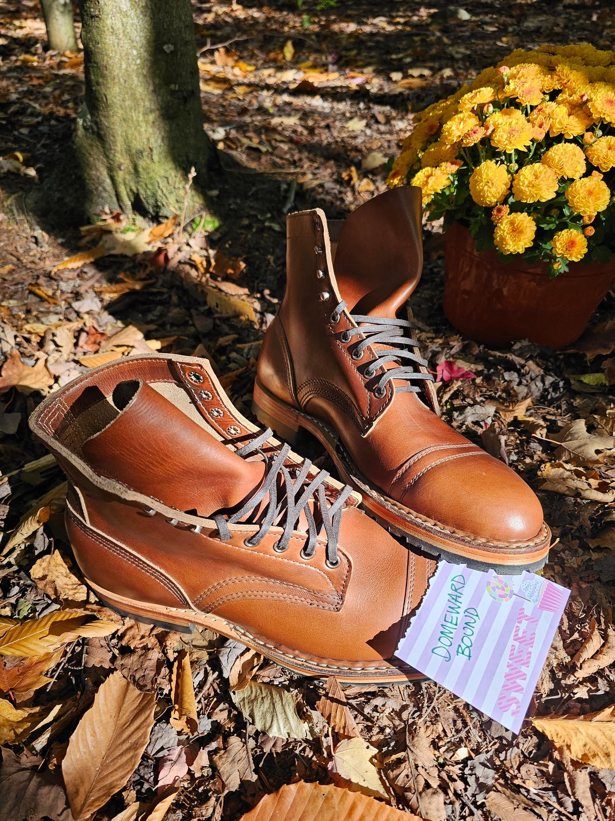 Photo by jho27 on October 1, 2023 of the White's MP-Sherman Toe Cap in Horween British Tan Chromexcel.