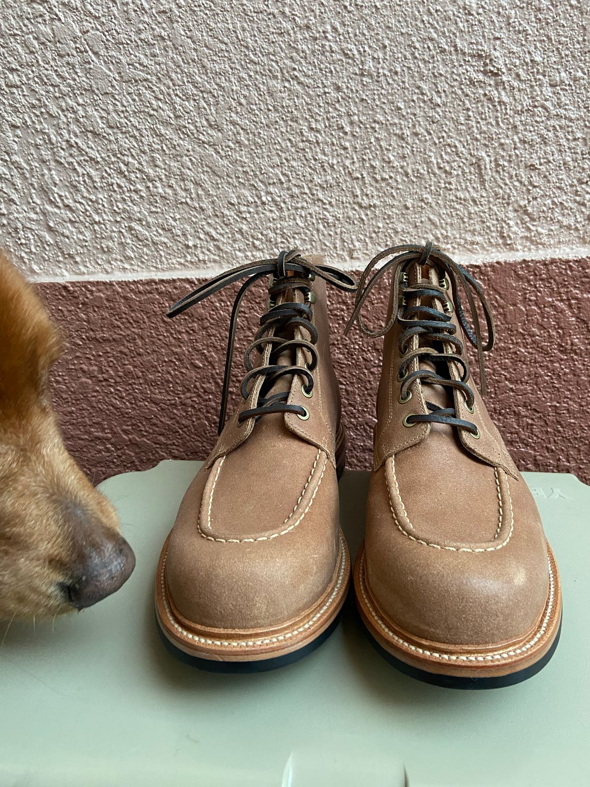 Photo by braneshaden on October 5, 2022 of the Grant Stone Brass Boot in C.F. Stead Natural Waxy Commander Suede.