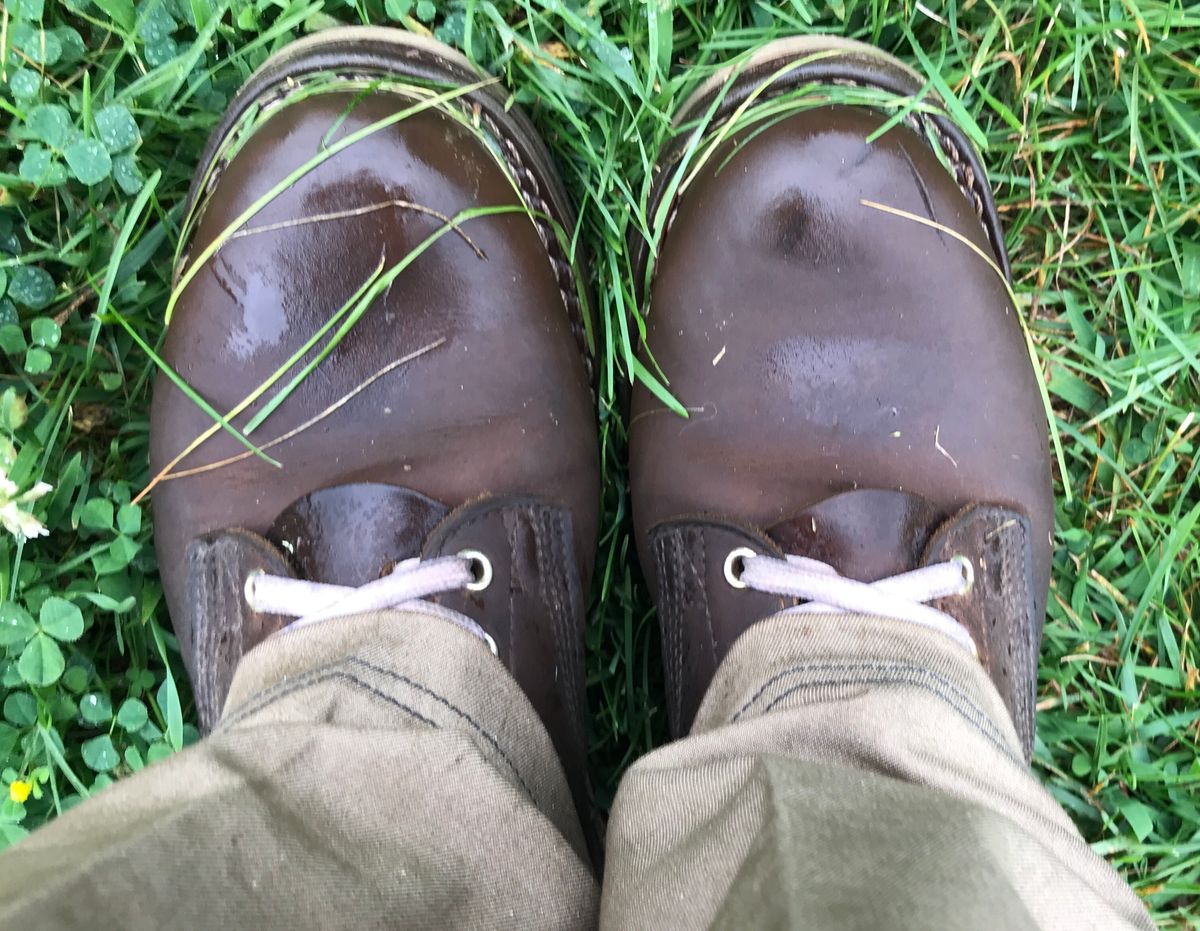 Photo by dj on July 30, 2024 of the Nicks Aldert Strider in Horween Orange Predator.