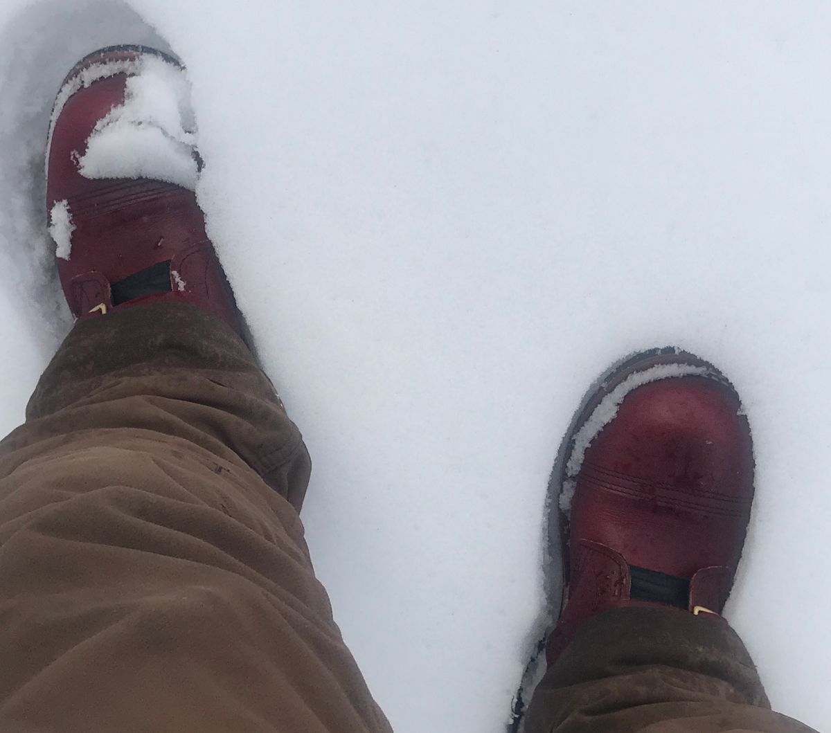 Photo by dj on February 23, 2025 of the Nicks Heritage TankerPro in Double Stuffed Crimson.