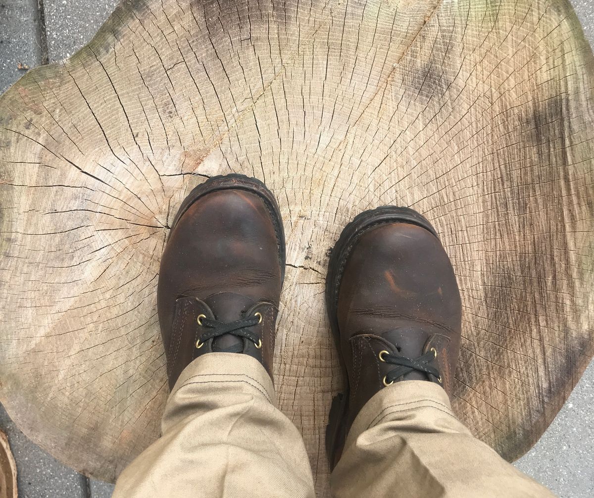 Photo by dj on July 21, 2024 of the Nicks Urban Logger in Horween Orange Predator.