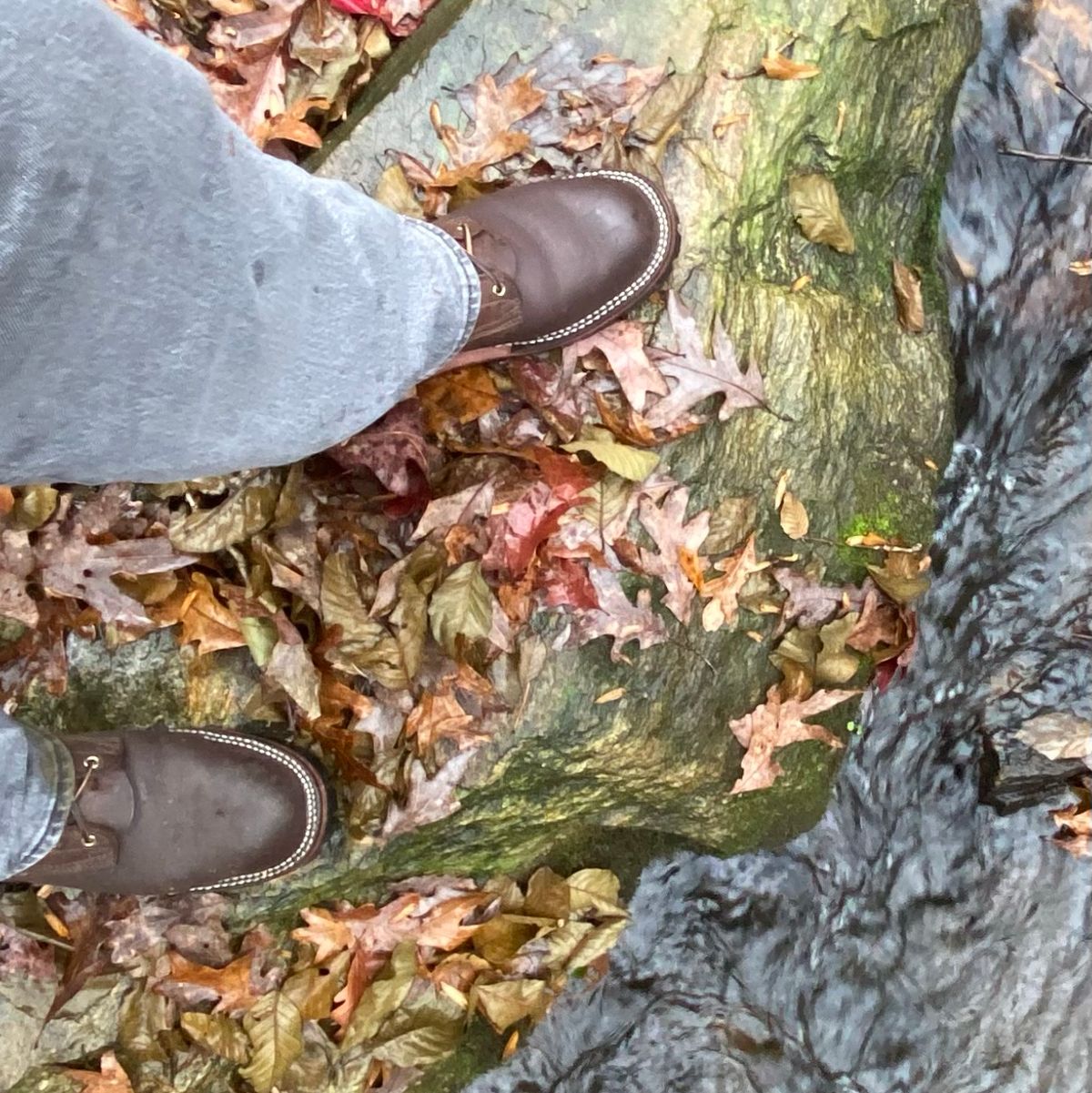 Photo by escapedTexan on November 10, 2022 of the Nicks Overlander in Seidel 1964 Walnut.