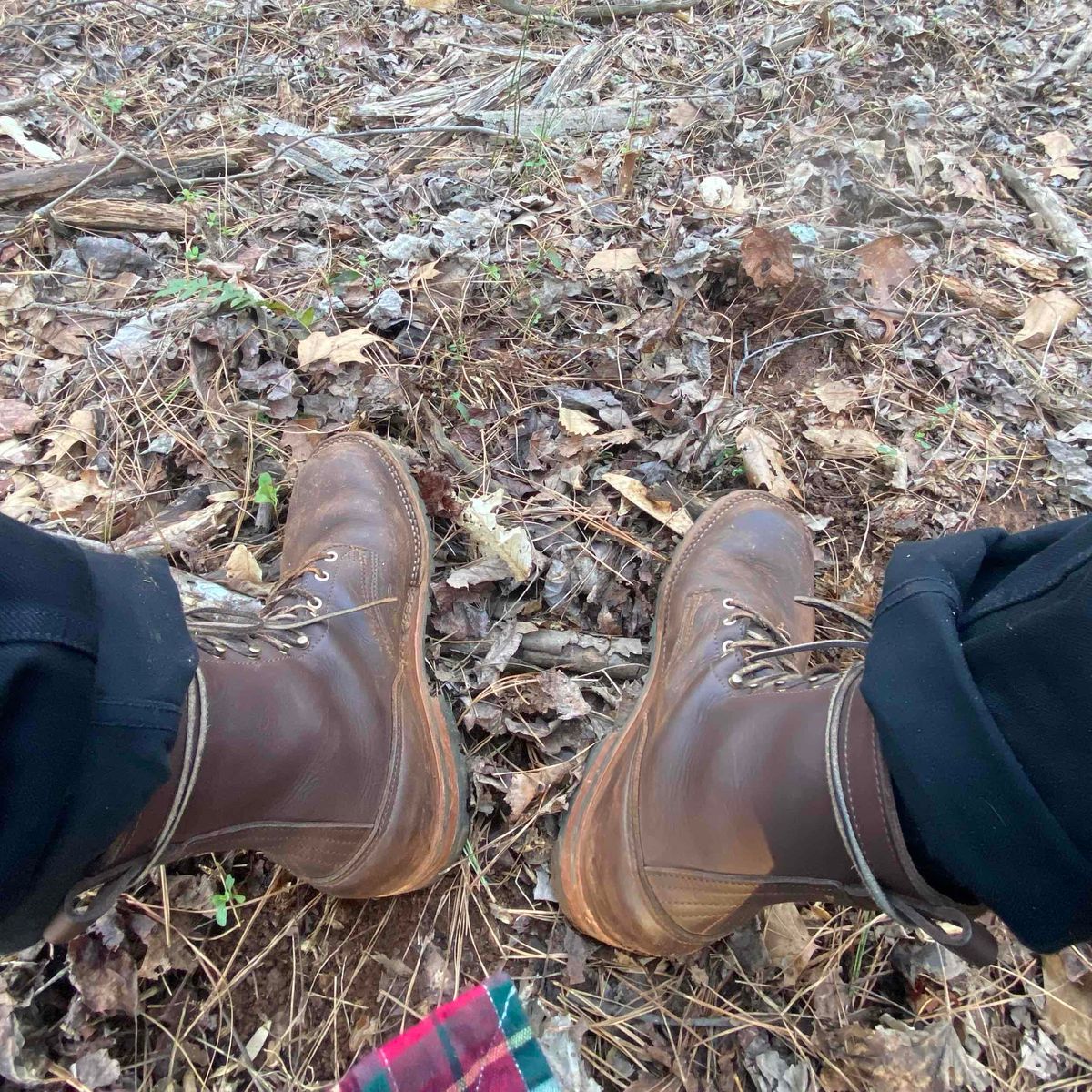 Photo by escapedTexan on February 17, 2023 of the Nicks Overlander in Seidel 1964 Walnut.