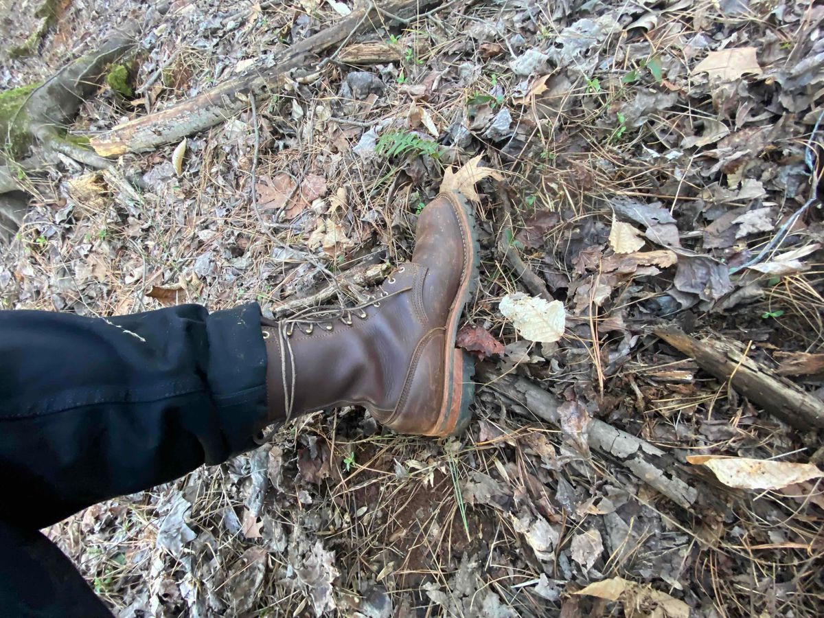 Photo by escapedTexan on February 17, 2023 of the Nicks Overlander in Seidel 1964 Walnut.