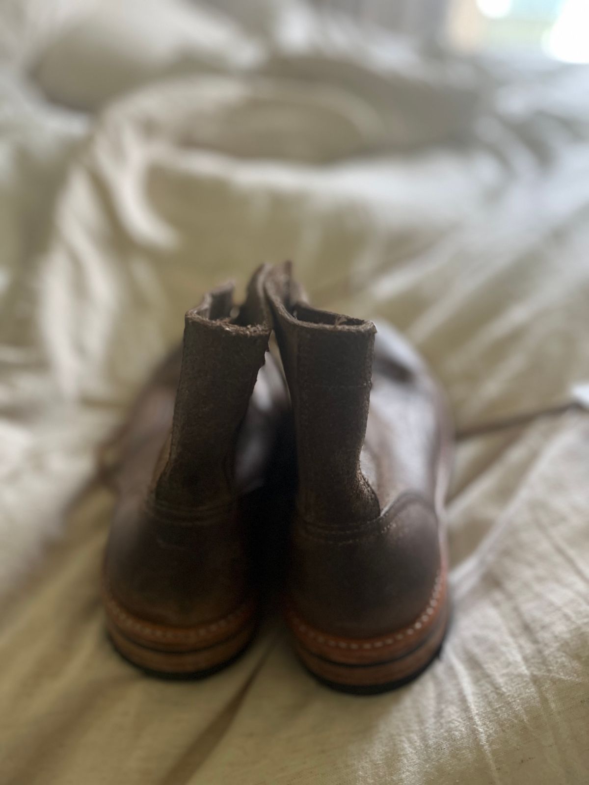 Photo by Dannflow on November 3, 2024 of the Oak Street Bootmakers Trench Boot in Horween Natural Chromexcel Roughout.