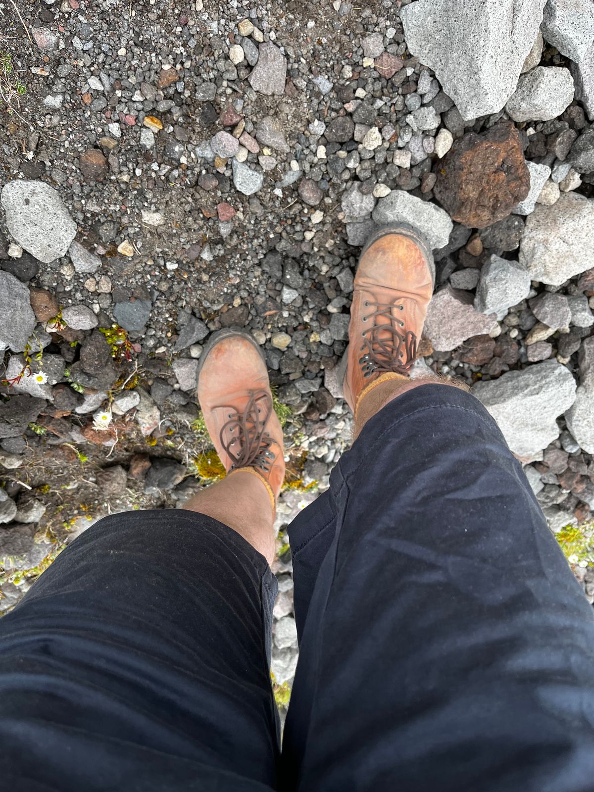 Photo by Dannflow on January 3, 2024 of the Sue Engles City Boot in Unknown Leather.