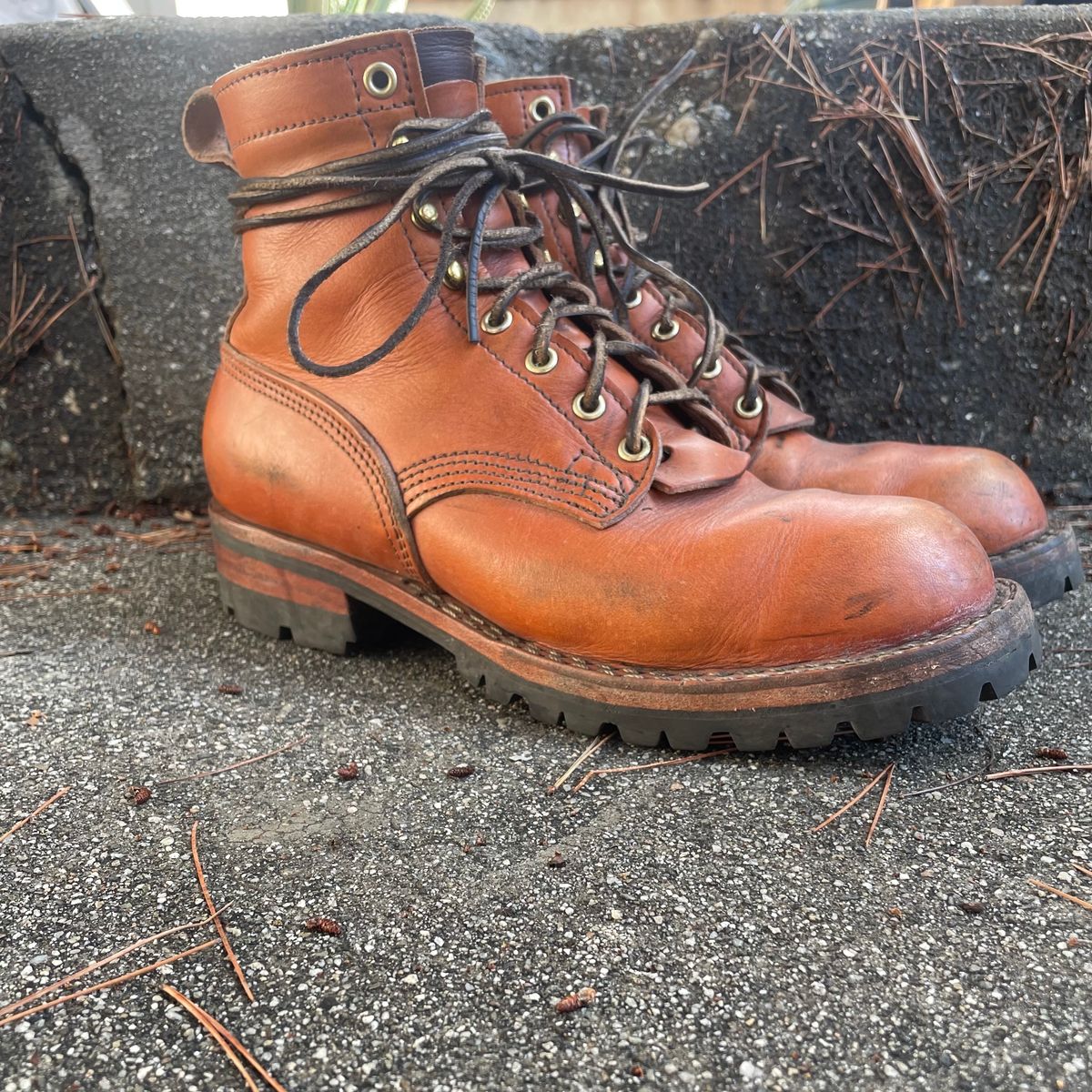 Photo by ConcreteLeatherFoot on January 3, 2024 of the Nicks DomePro in Wickett & Craig Tan English Bridle.