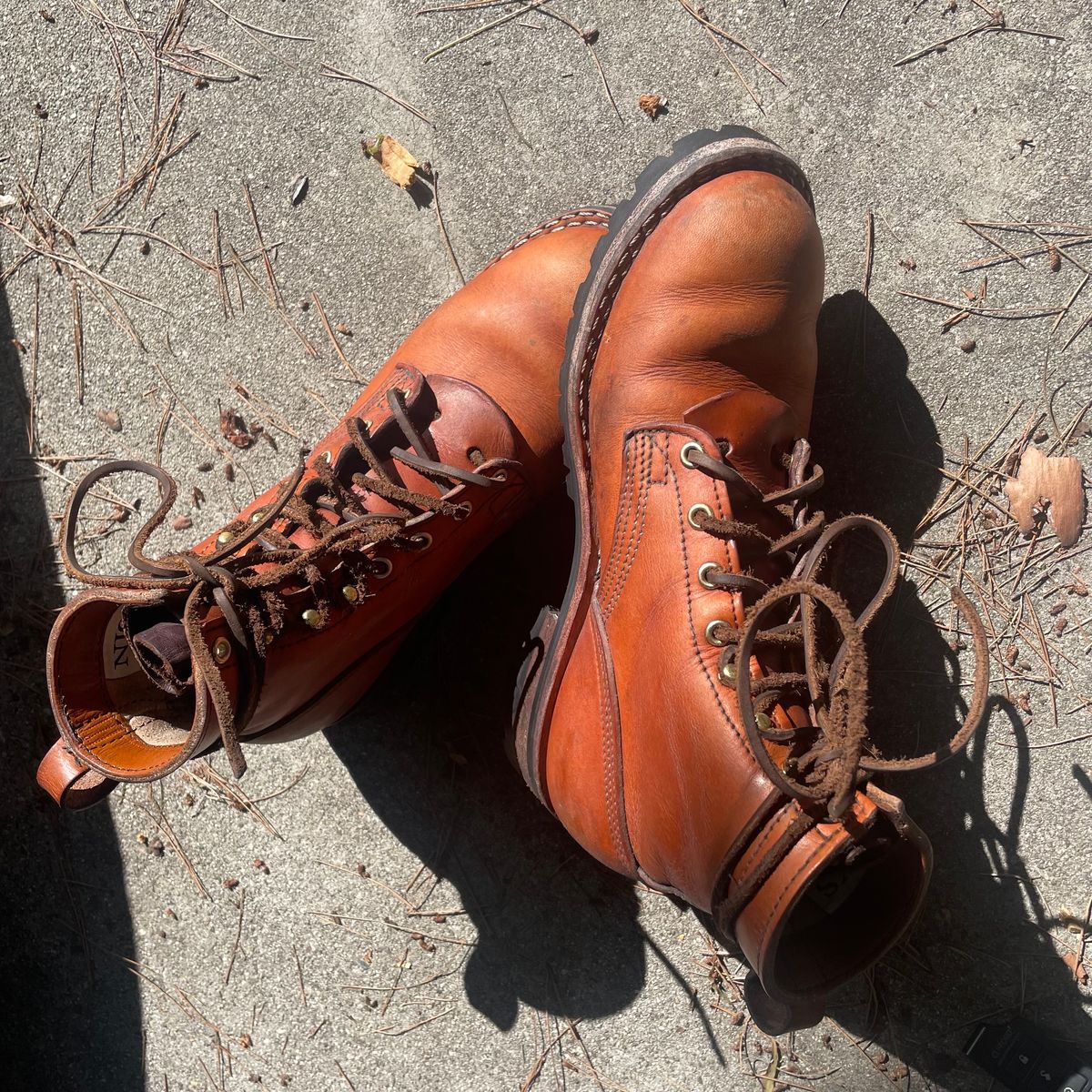 Photo by ConcreteLeatherFoot on February 2, 2024 of the Nicks DomePro in Wickett & Craig Tan English Bridle.