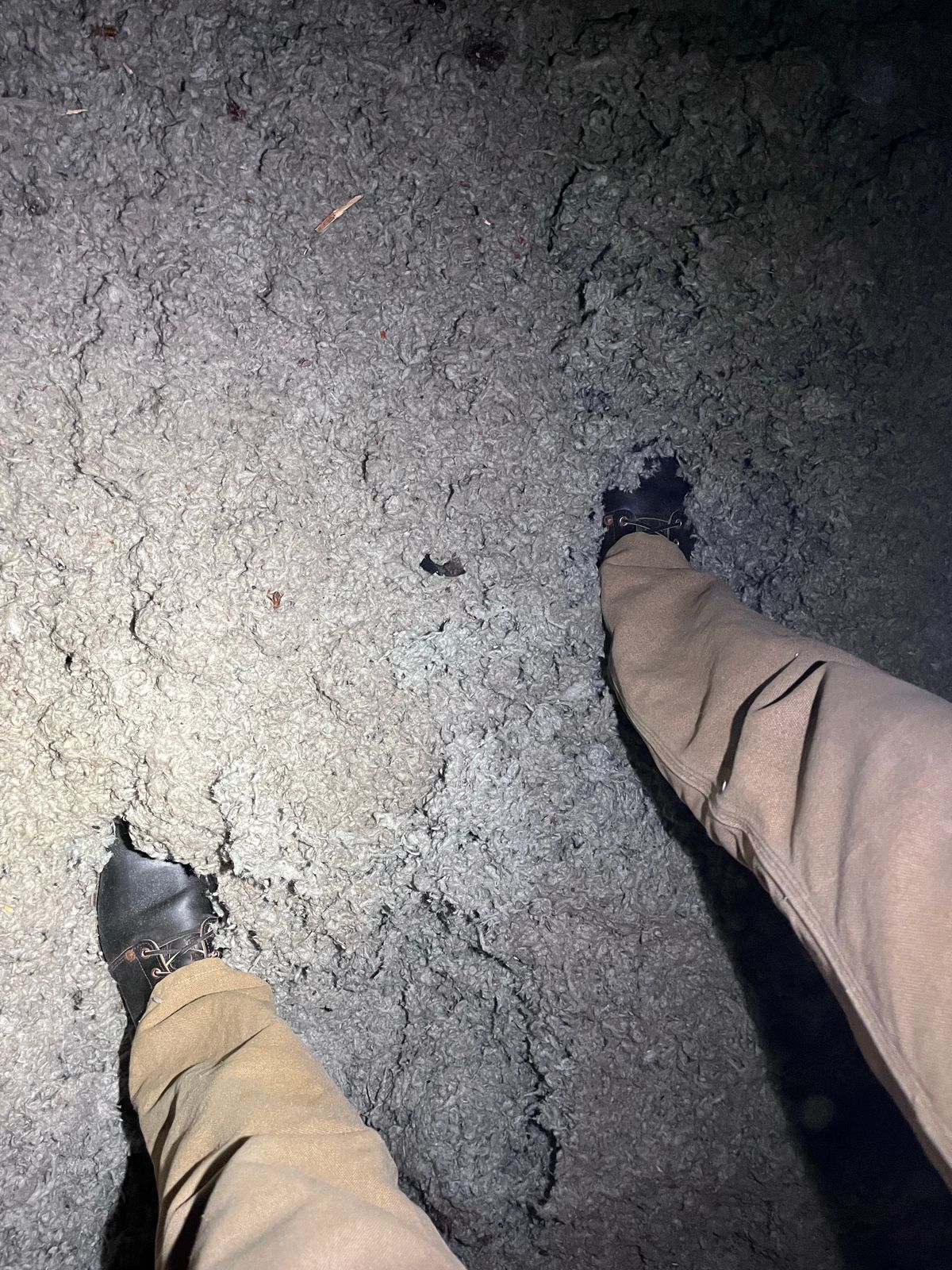 Photo by chukchuk on October 6, 2022 of the Endurance Leather Co. Unlisted Model in Horween Overdyed Chromexcel Horsehide.