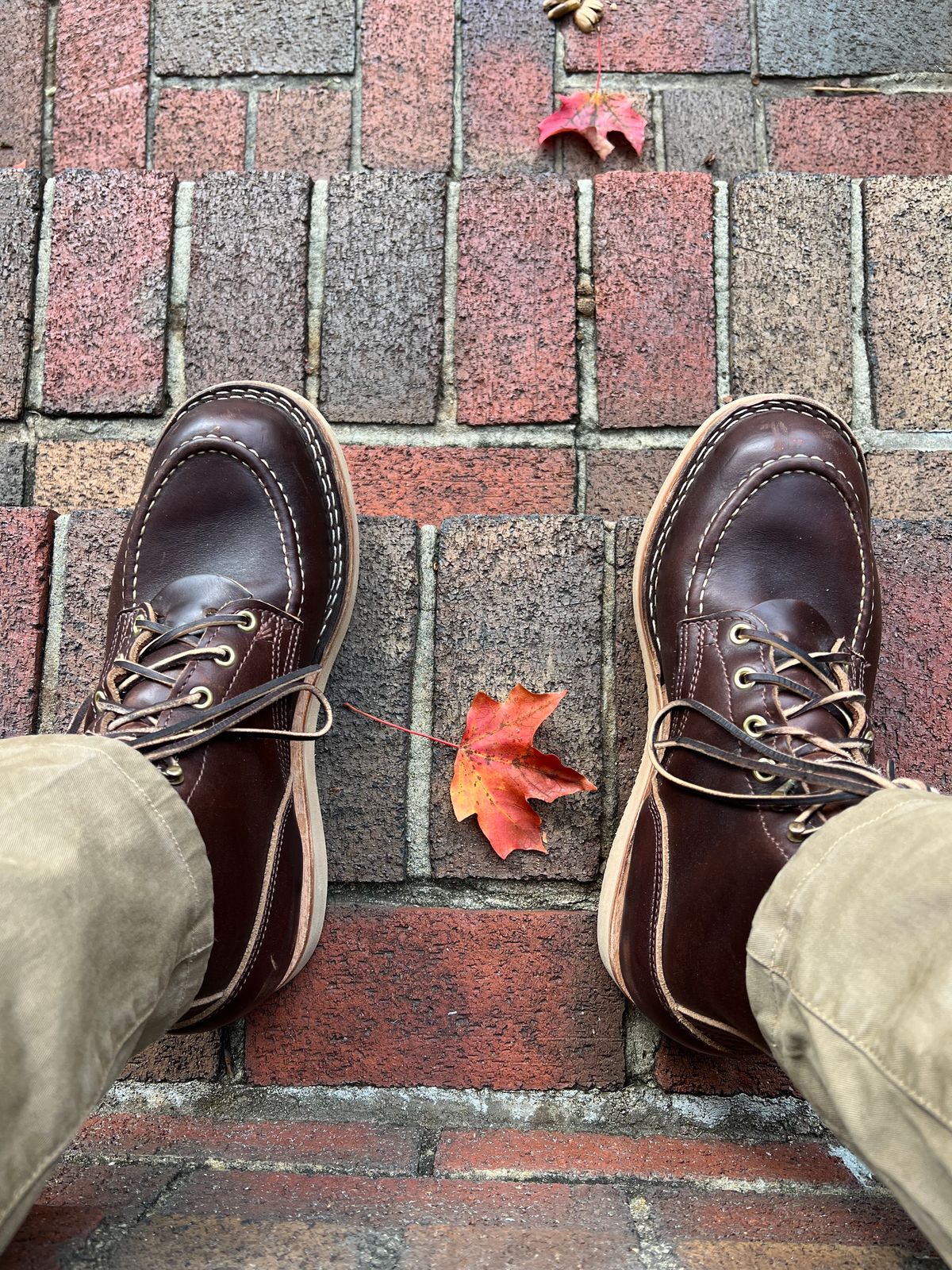 Photo by goblutes on October 18, 2023 of the Nicks Moc Toe in Horween Brown Chromexcel.