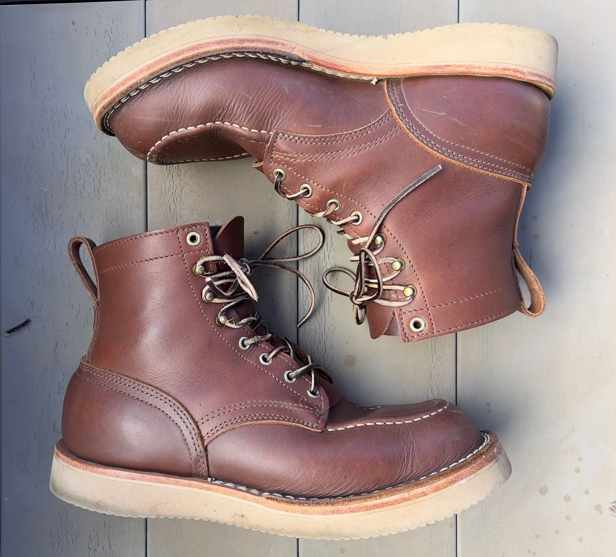 Photo by goblutes on December 30, 2024 of the Nicks Moc Toe in Seidel 1964 Brown.